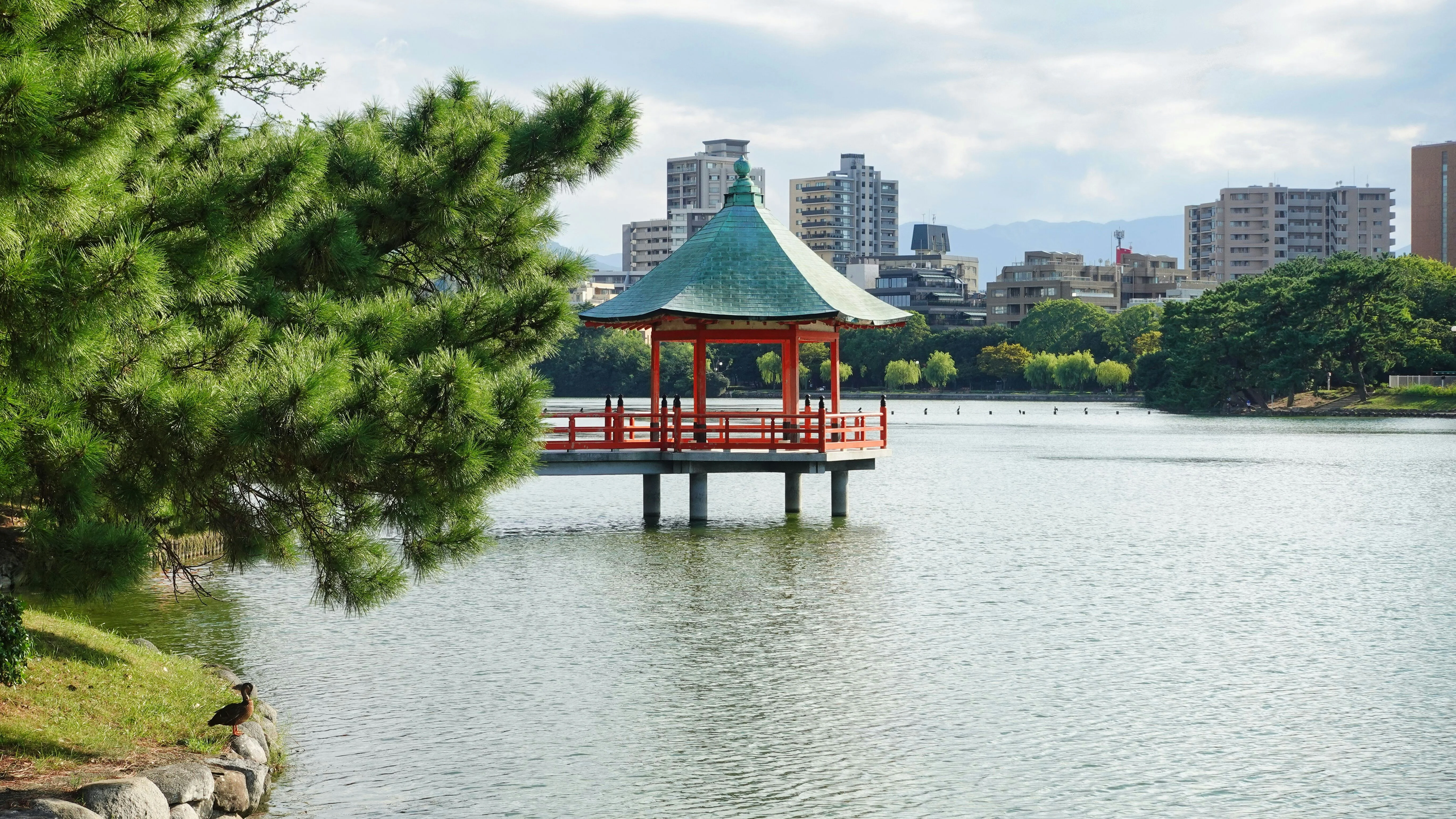 The Linguistic Traveler's Guide to Japan: Whispering with Nature in Fukuoka Image 2