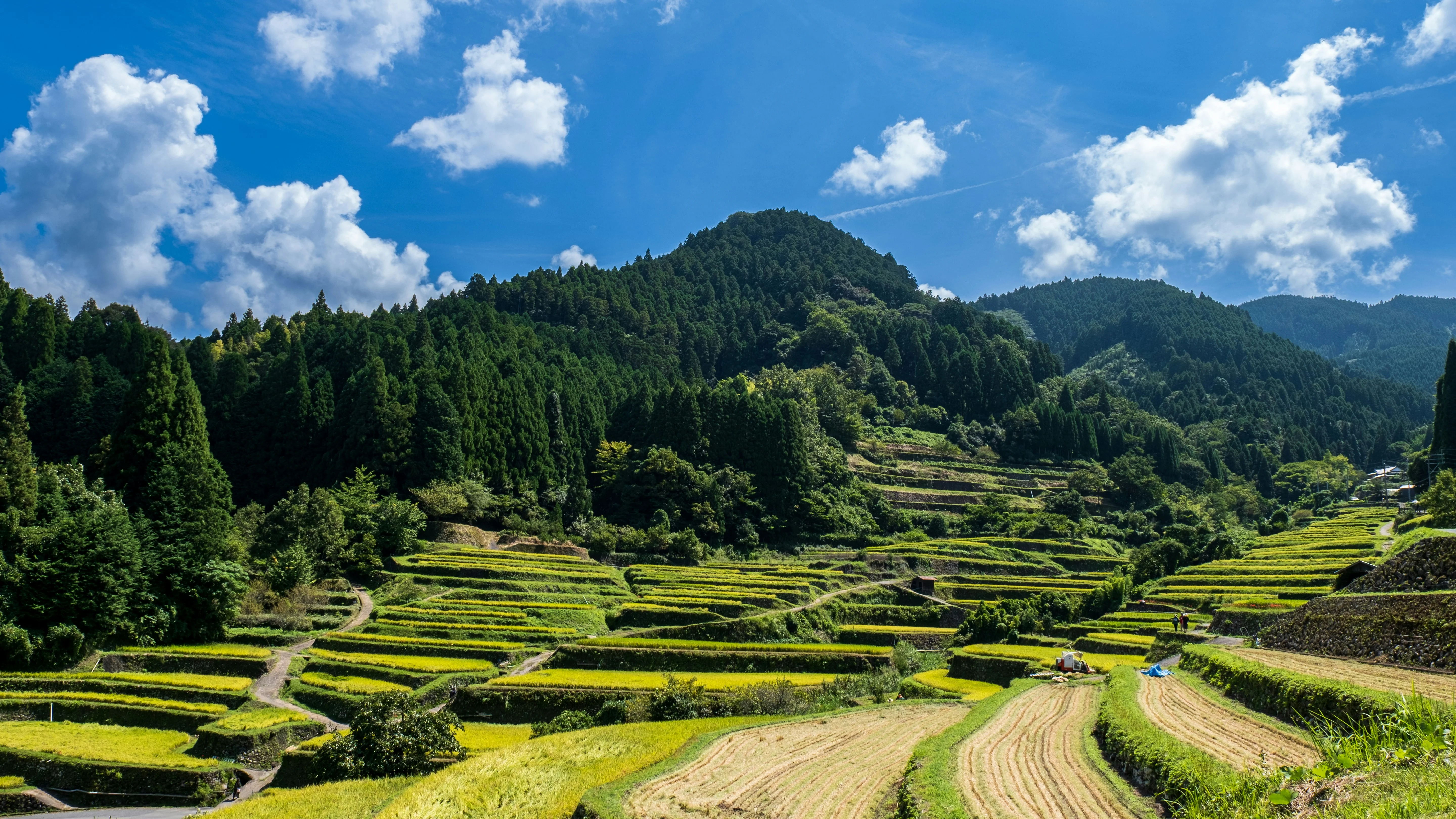 The Linguistic Traveler's Guide to Japan: Whispering with Nature in Fukuoka Image 3