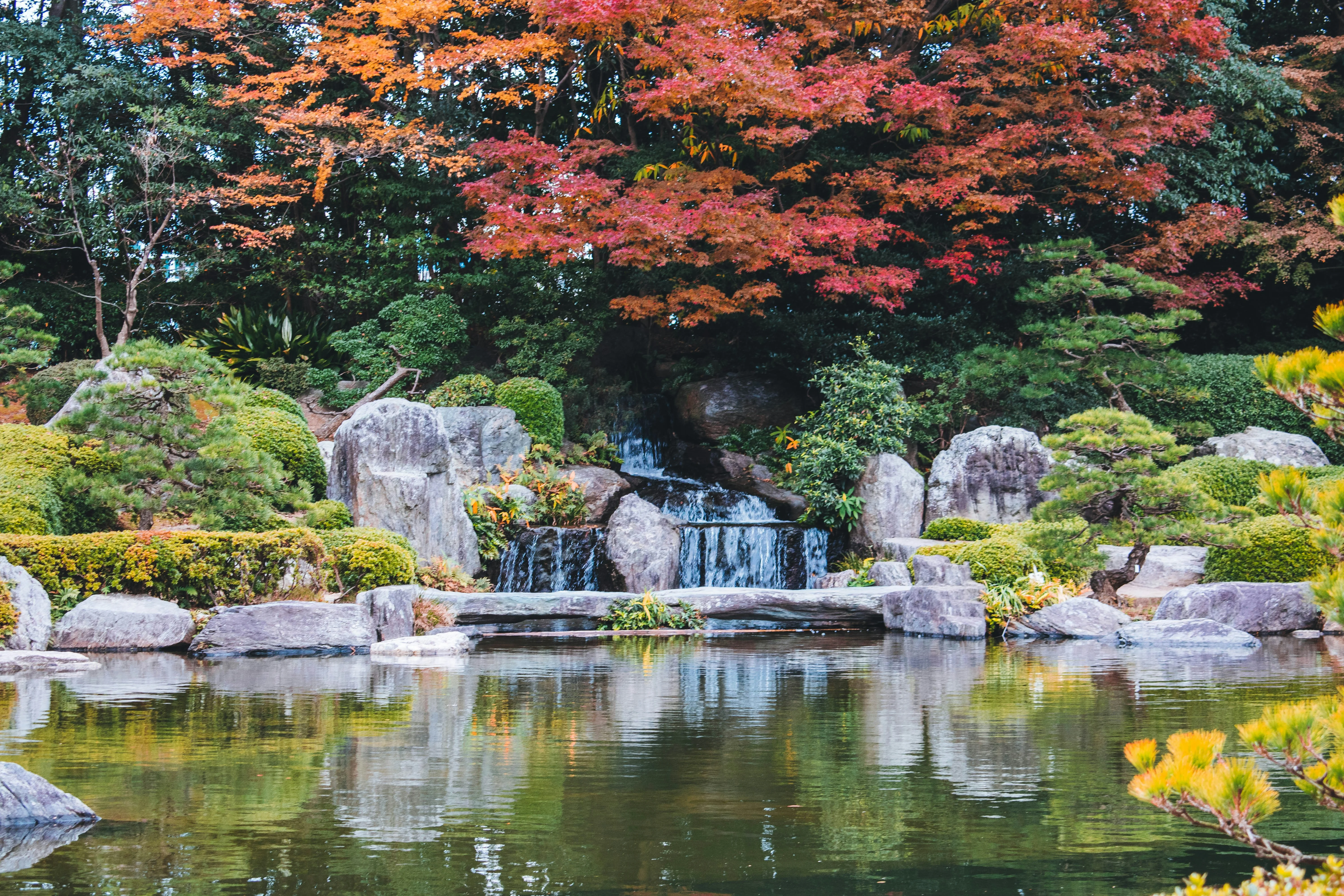 The Linguistic Traveler's Guide to Japan: Whispering with Nature in Fukuoka