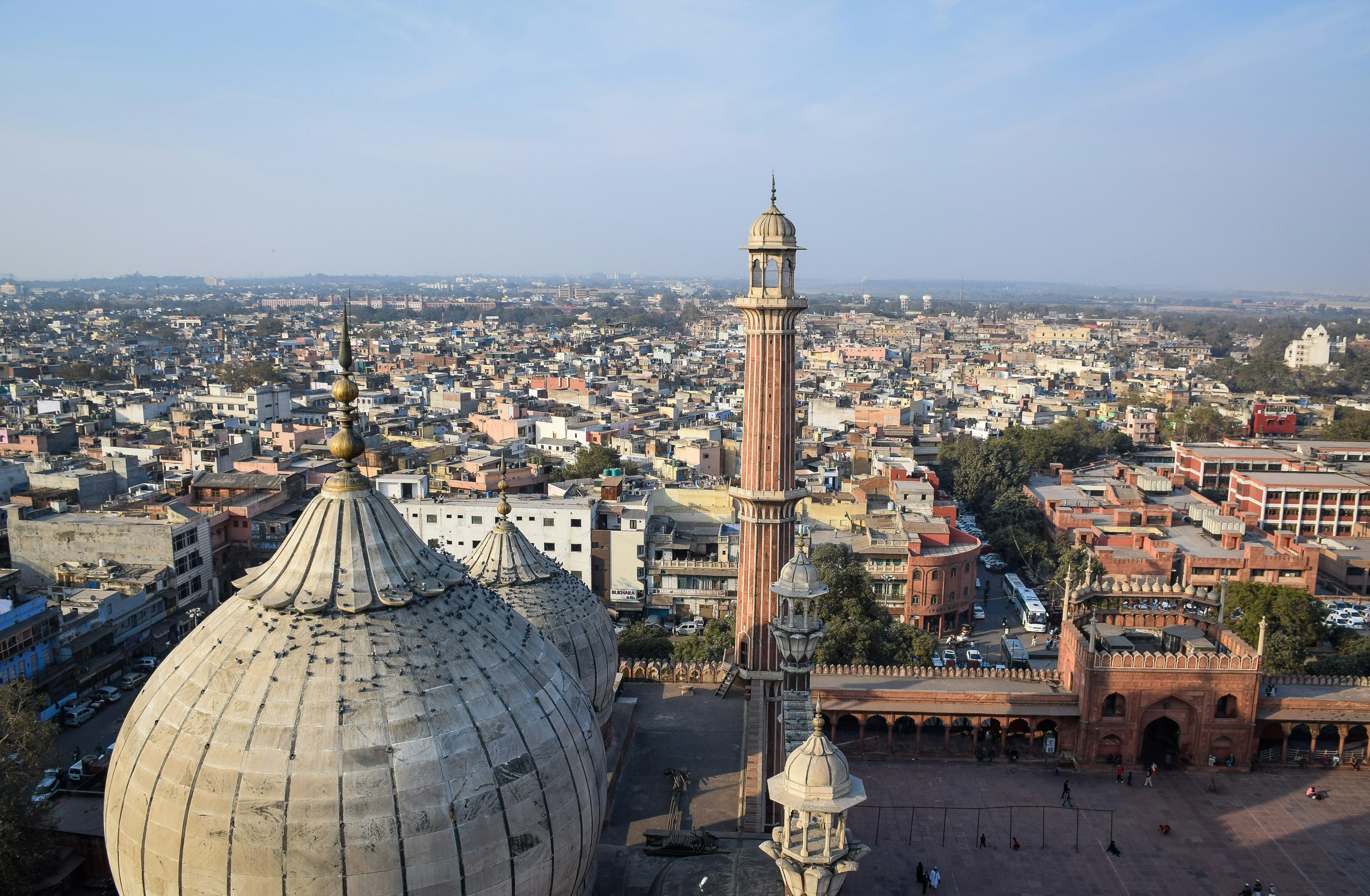 New Delhi on a Dime: Laughing Through the Lanes of India's Capital Image 1