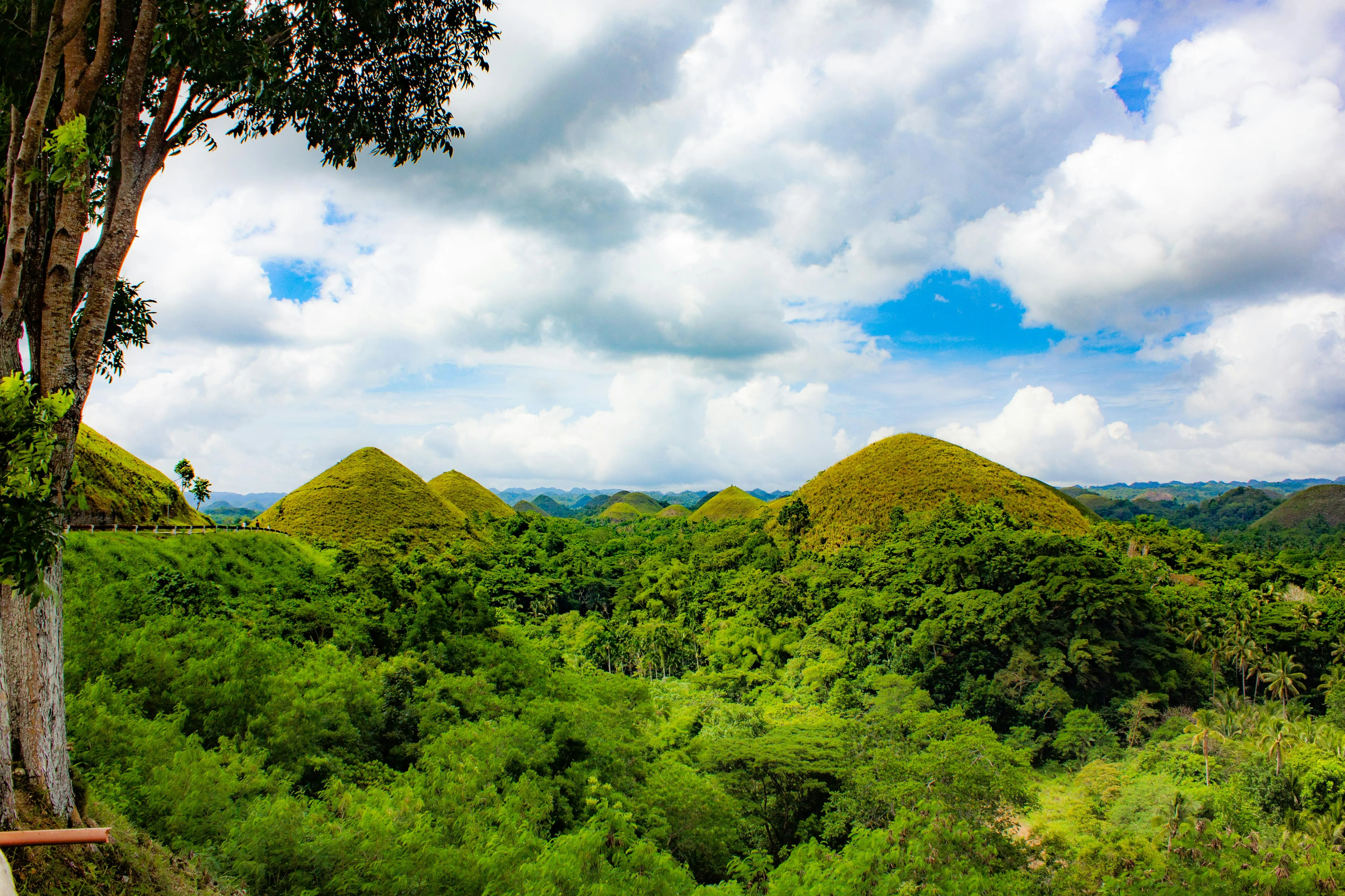 Uncovering Bohol's Crafts: Artisanal Traditions in a Modern World