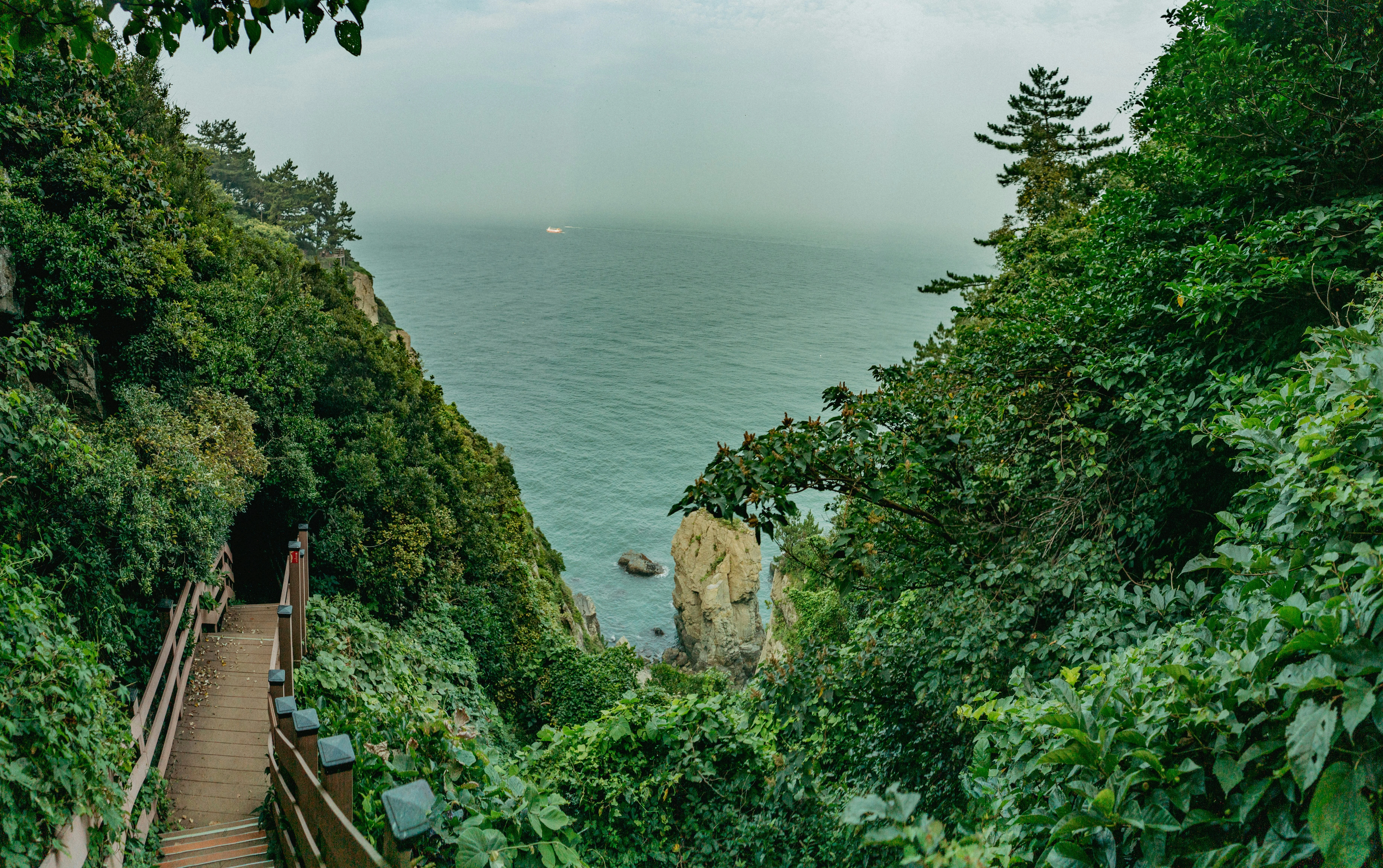 Hidden Havens: Accessible Nature Trails for All Abilities in Busan Image 1