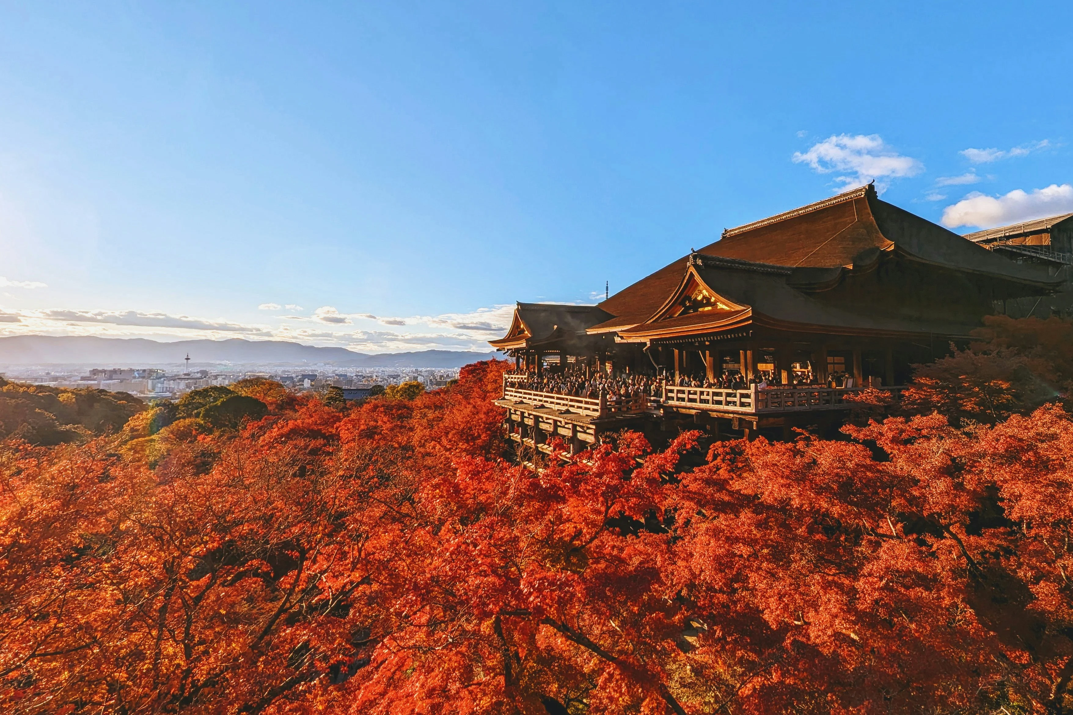 Seasonal Changes and Language Learning: Embracing Autumn in Kyoto Image 1