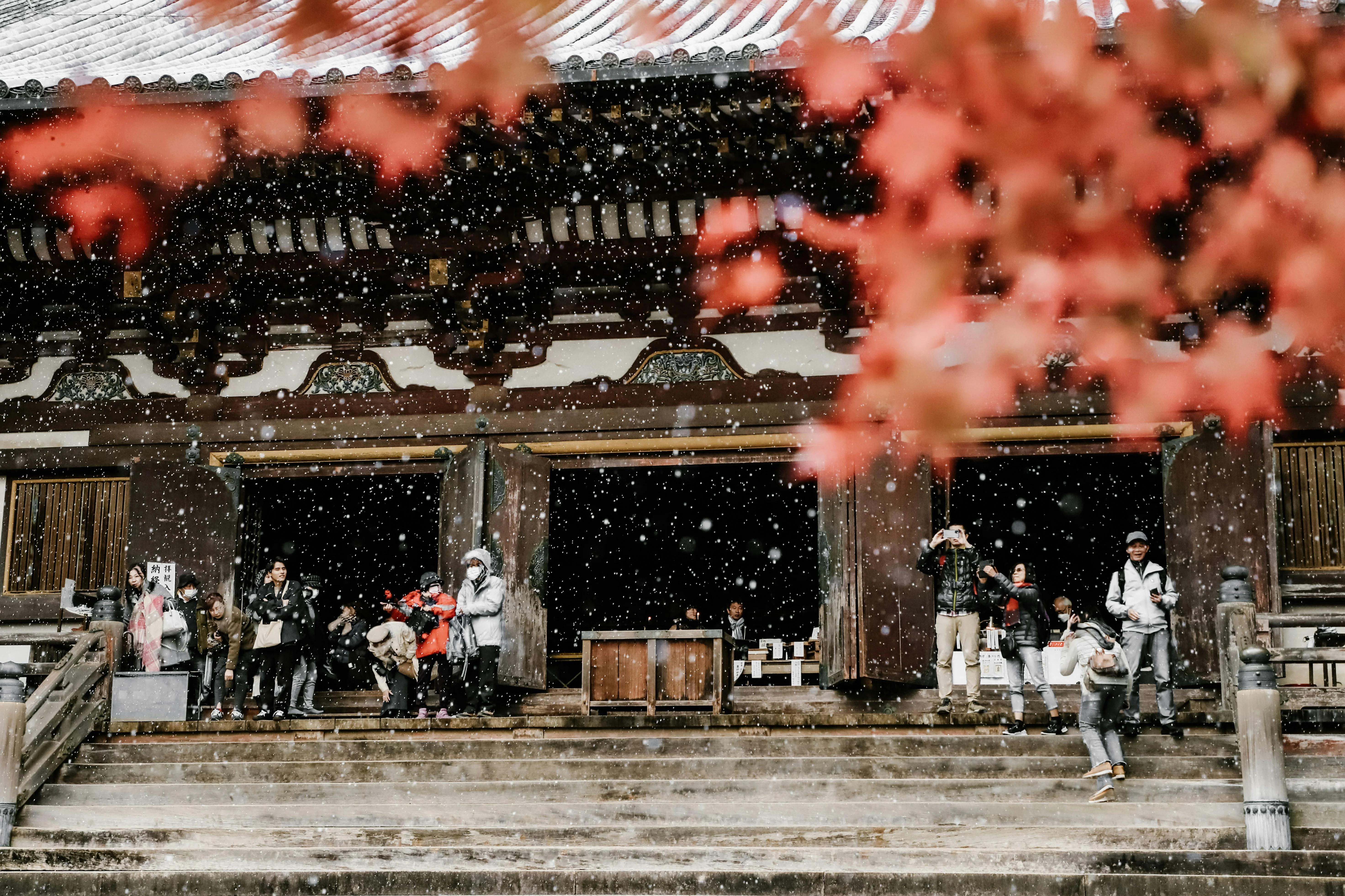 Seasonal Changes and Language Learning: Embracing Autumn in Kyoto