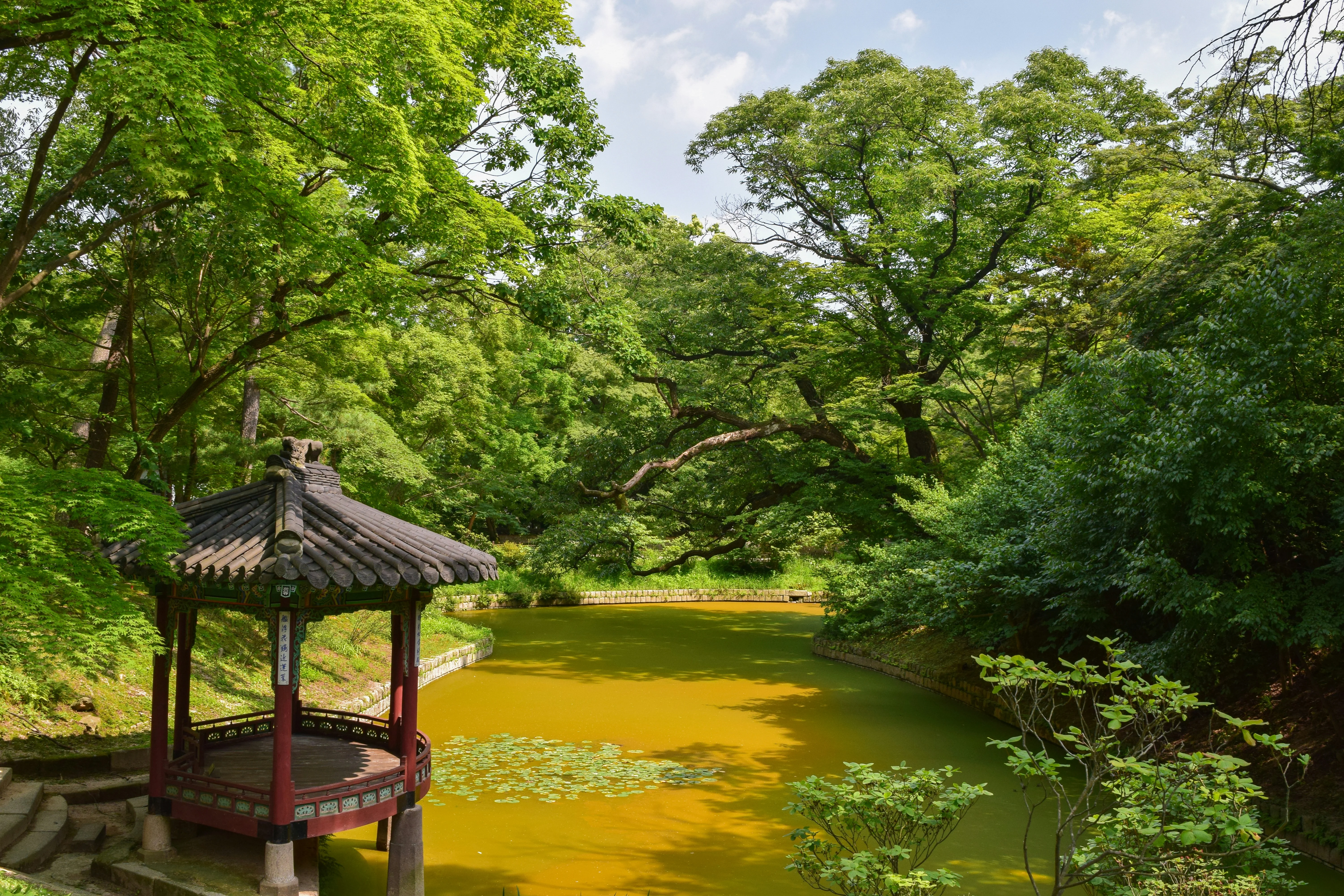 Seoul's Hidden Green Sanctuaries: Photographic Adventures Off the Beaten Path Image 1