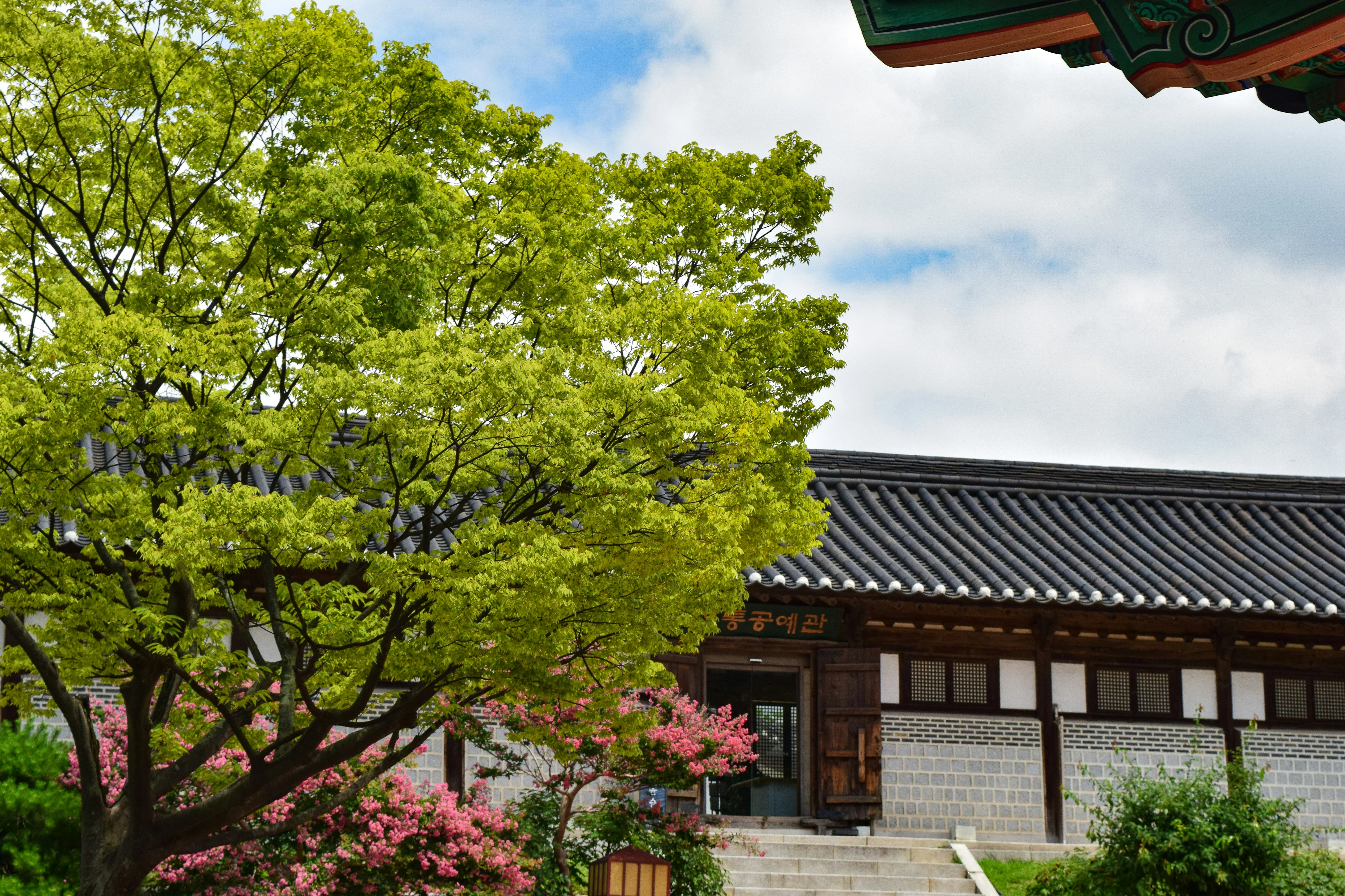 Seoul's Hidden Green Sanctuaries: Photographic Adventures Off the Beaten Path