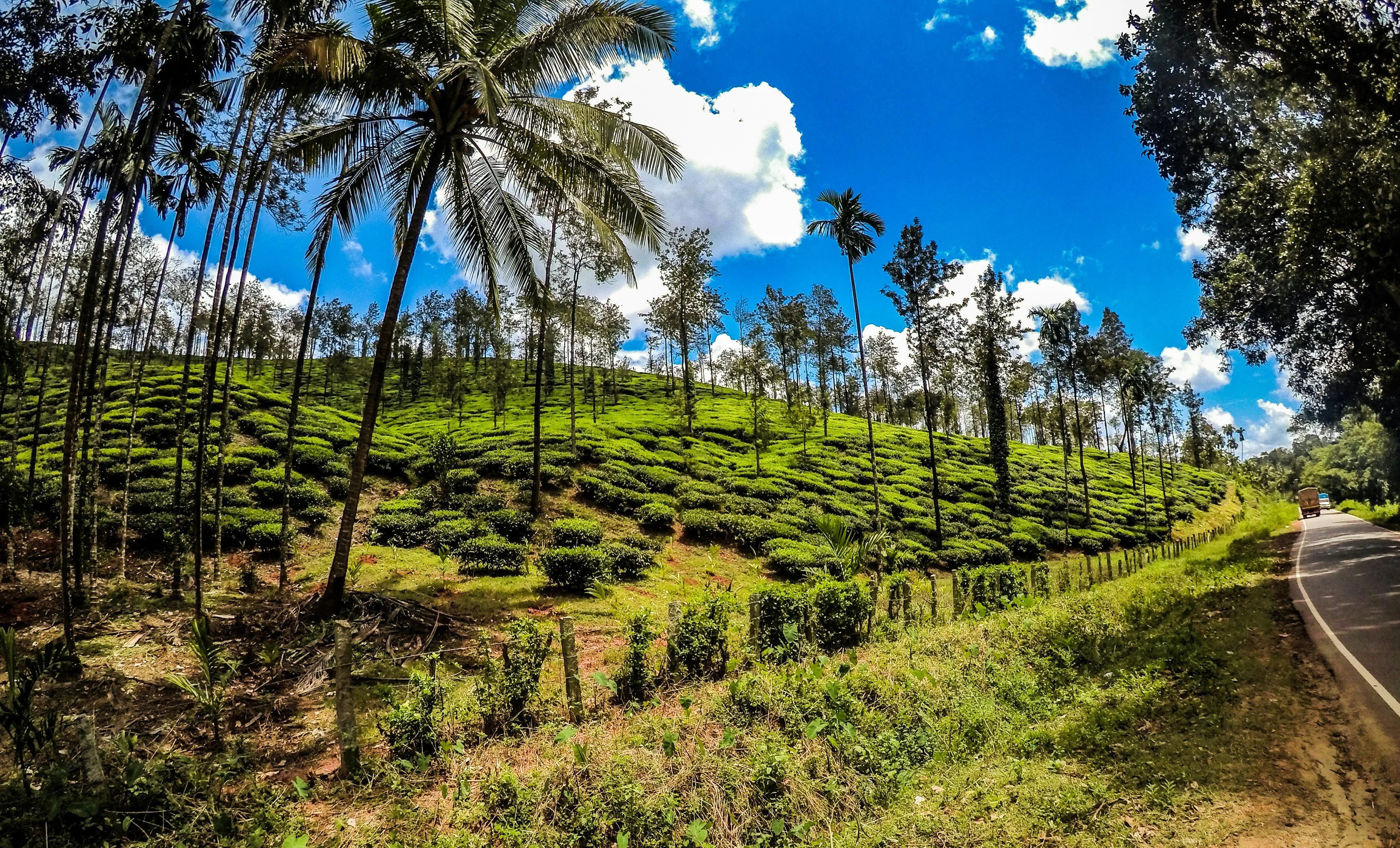 Exploring the Serene Sahyadris: A Road Trip from Mumbai to the Western Ghats Image 1