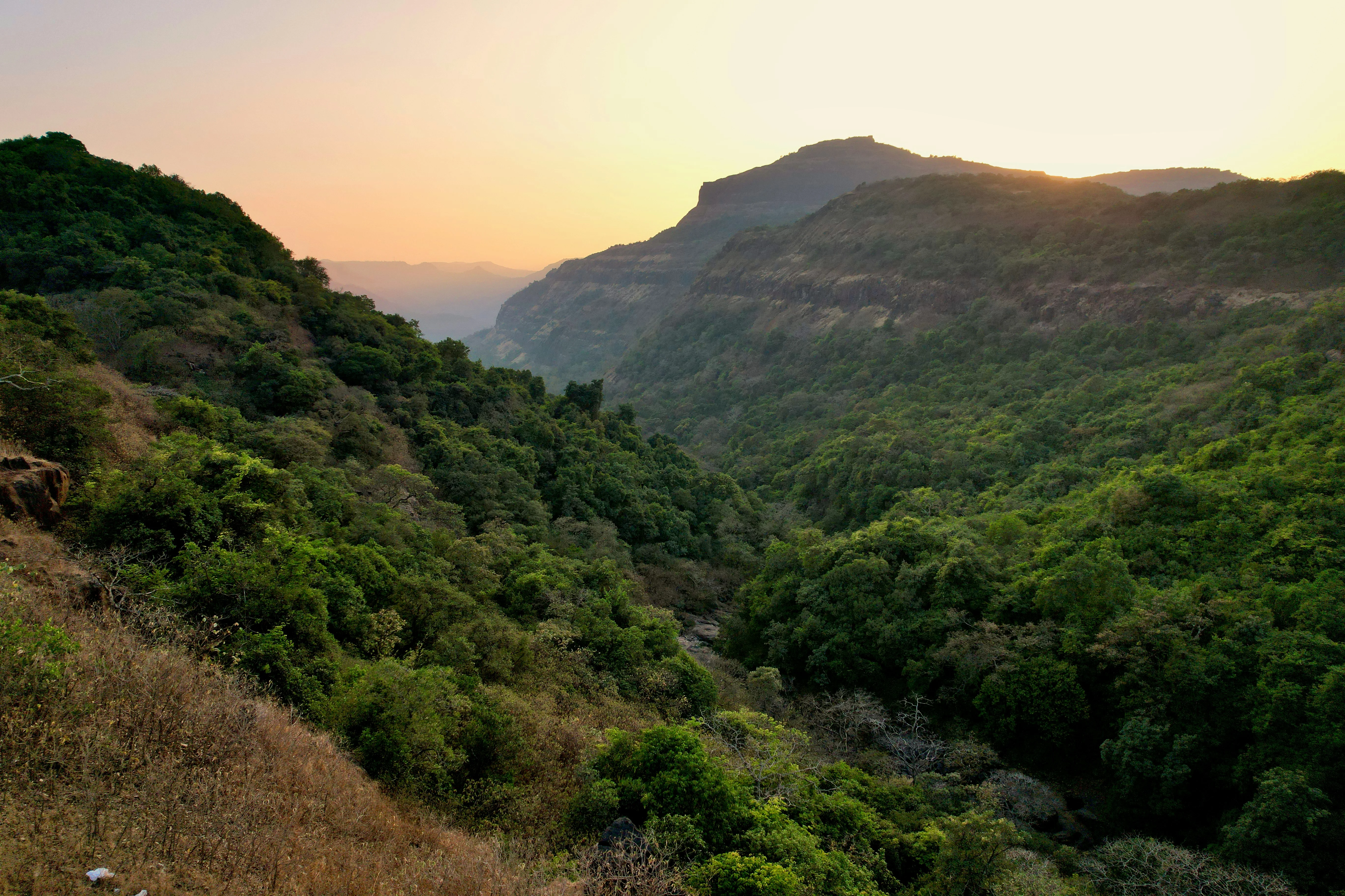 Exploring the Serene Sahyadris: A Road Trip from Mumbai to the Western Ghats Image 2