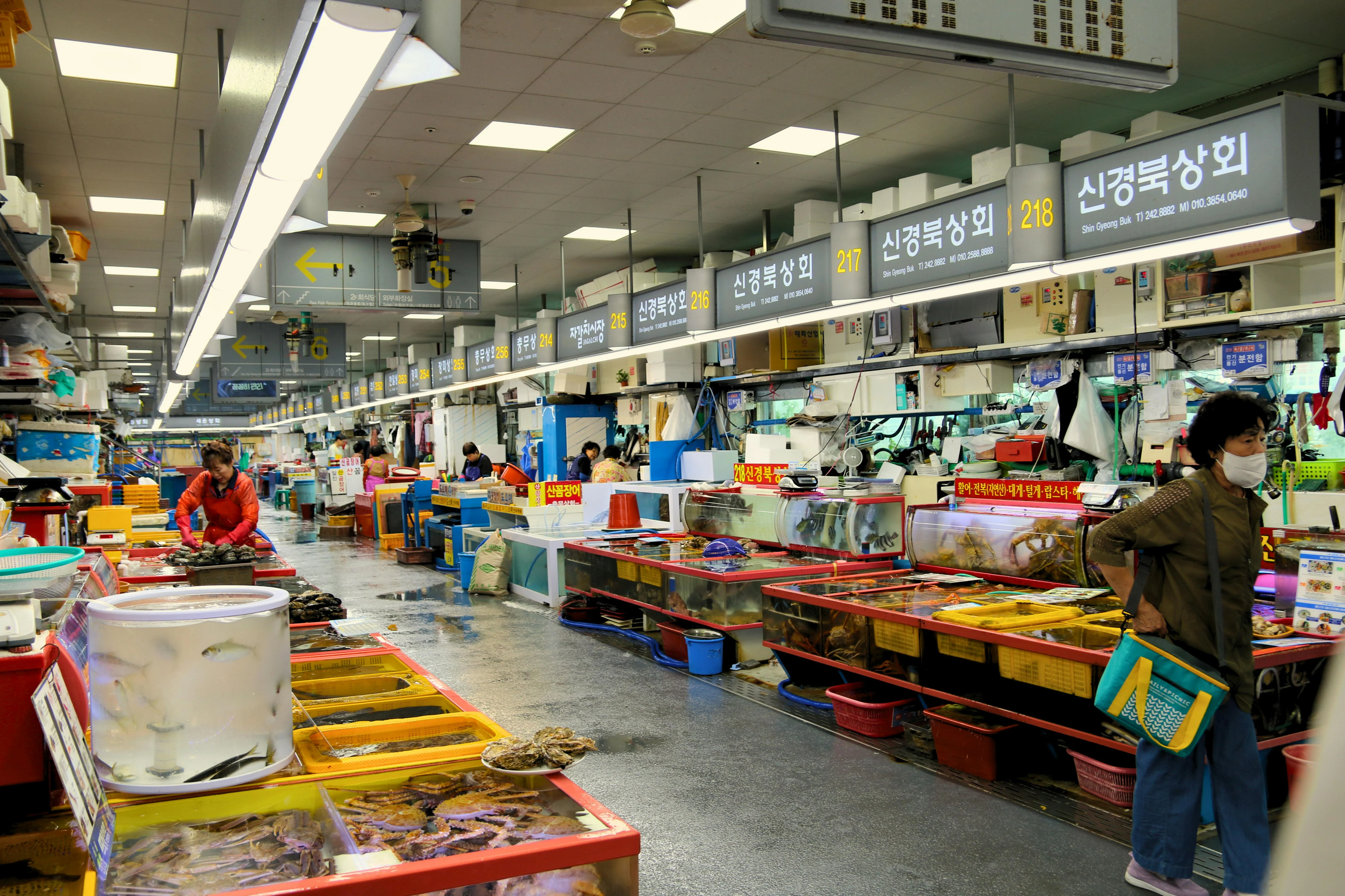 A Taste of Tradition: Busan's Barrier-Free Culinary Tours Image 2