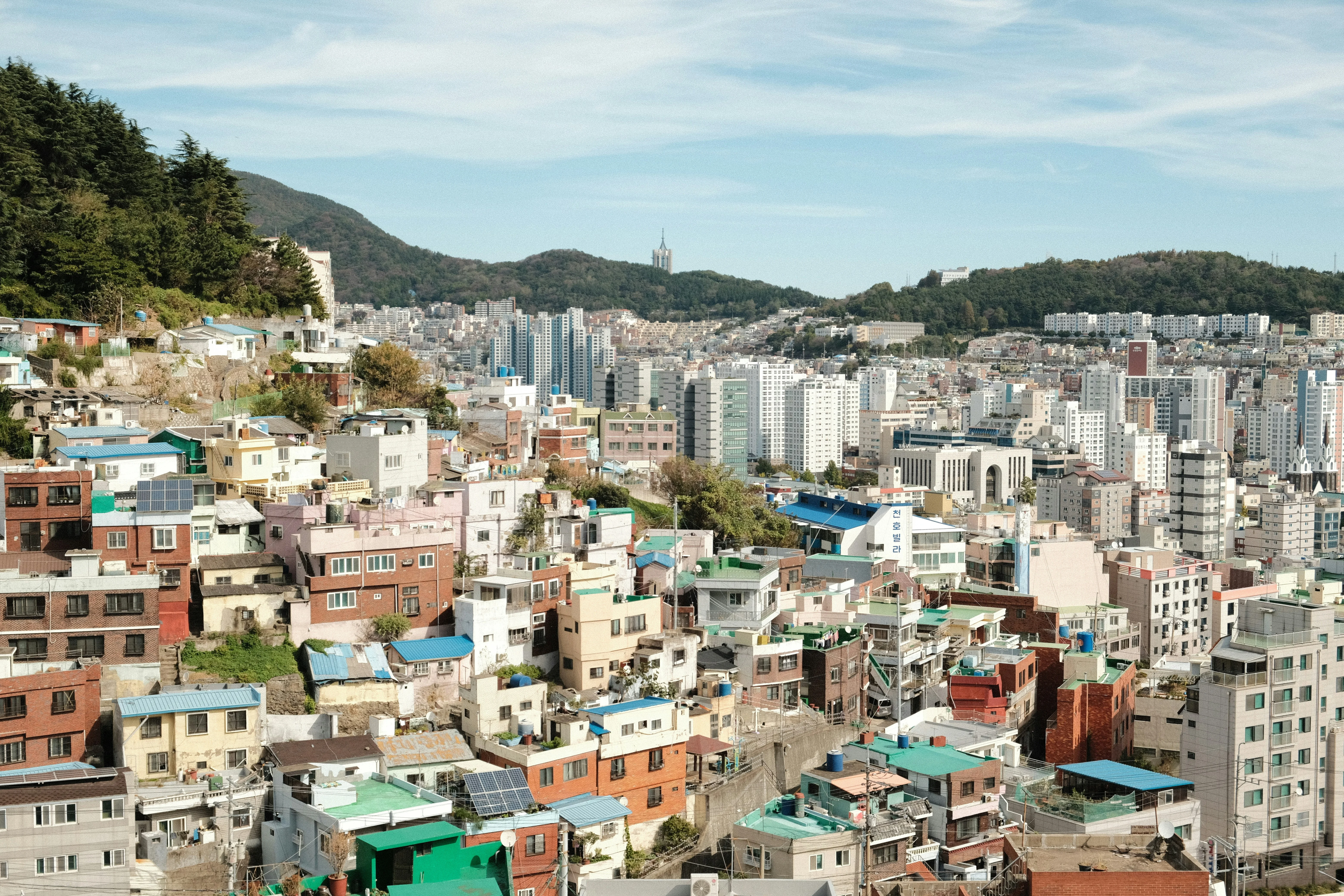 A Taste of Tradition: Busan's Barrier-Free Culinary Tours