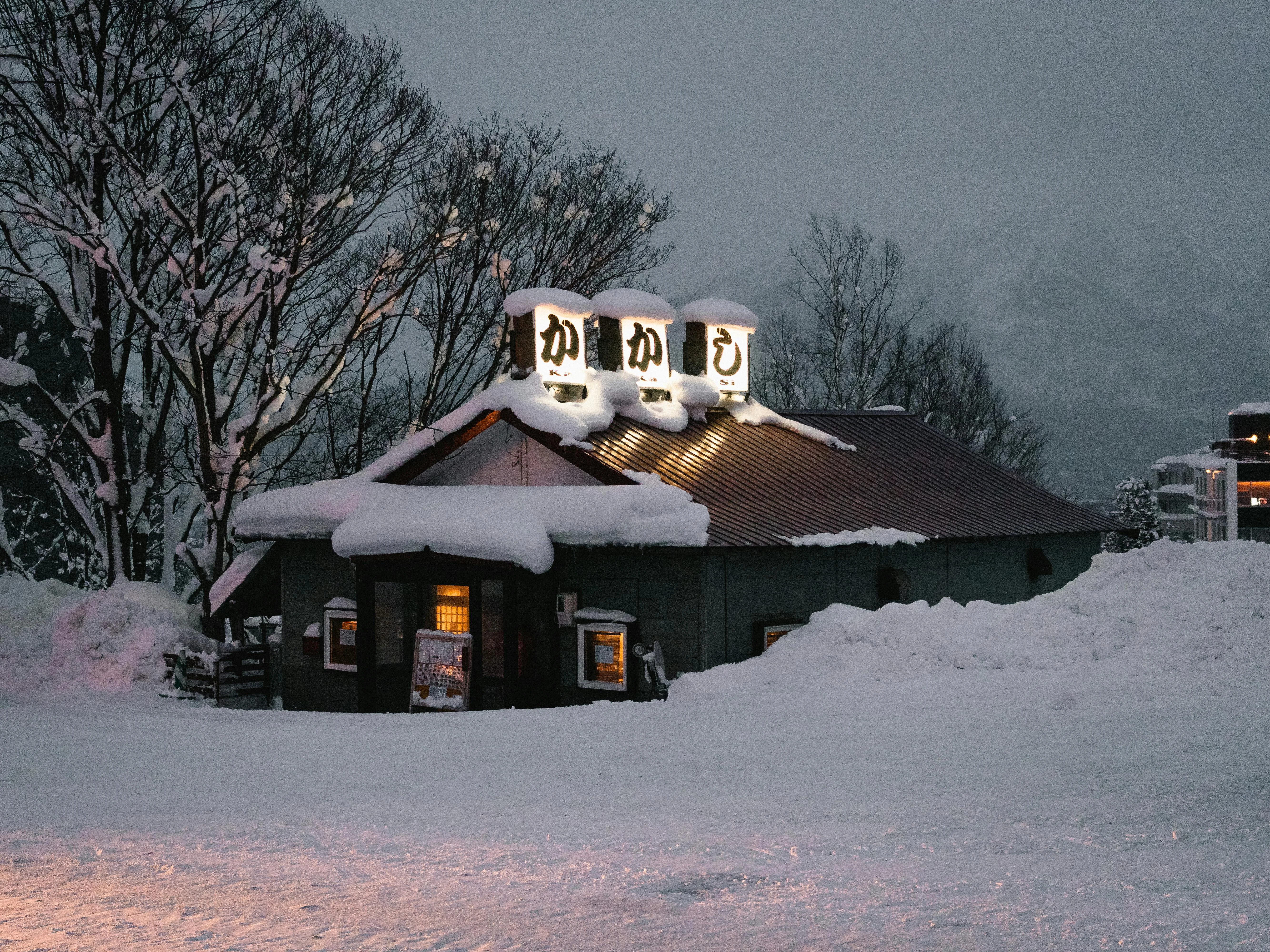 Savoring the Flavors: Local Cuisine Spots for Backpackers in Hokkaido Image 3