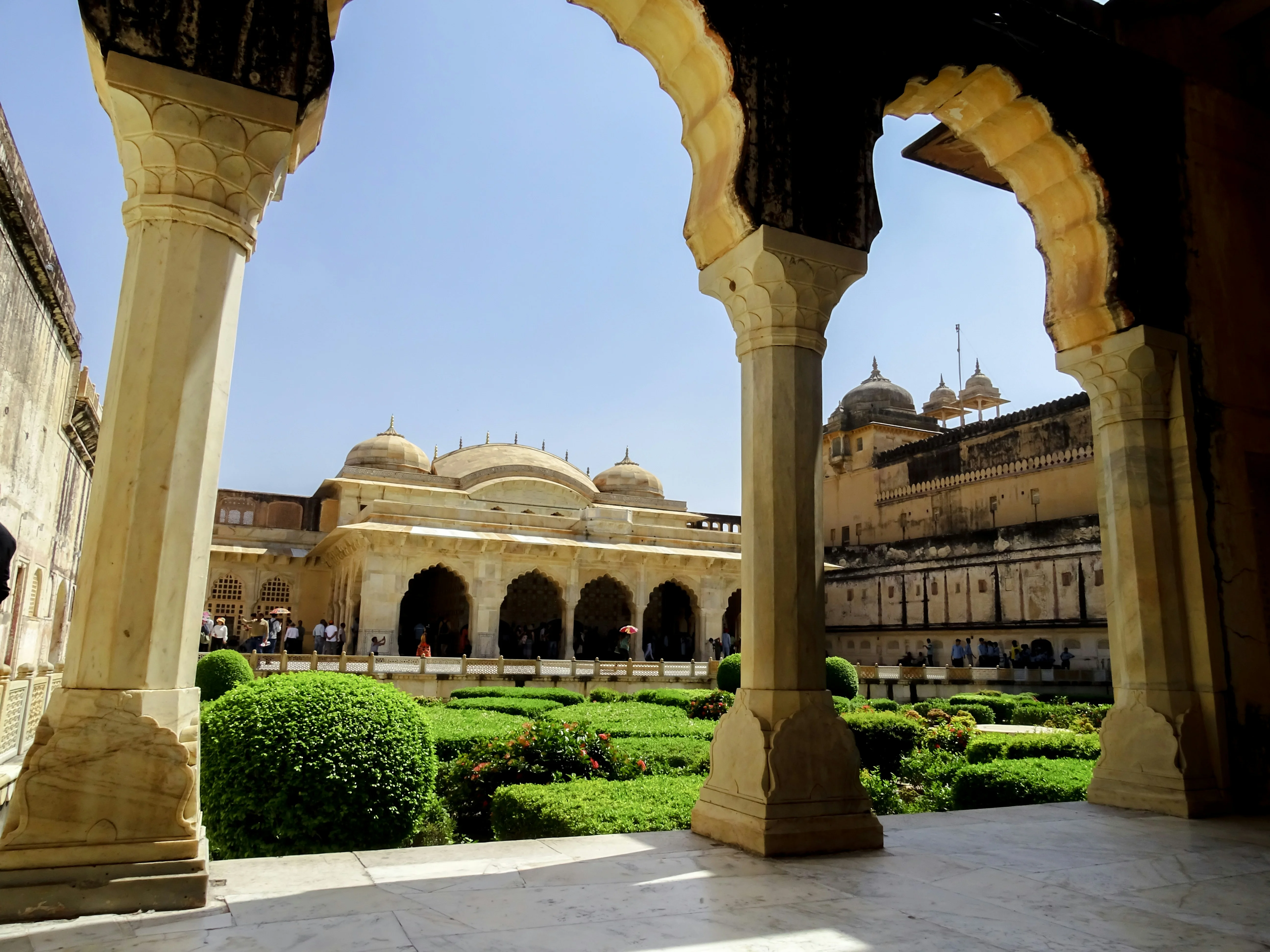 Solo Adventures Await: Discover the Pet-Friendly Side of Jaipur Image 3