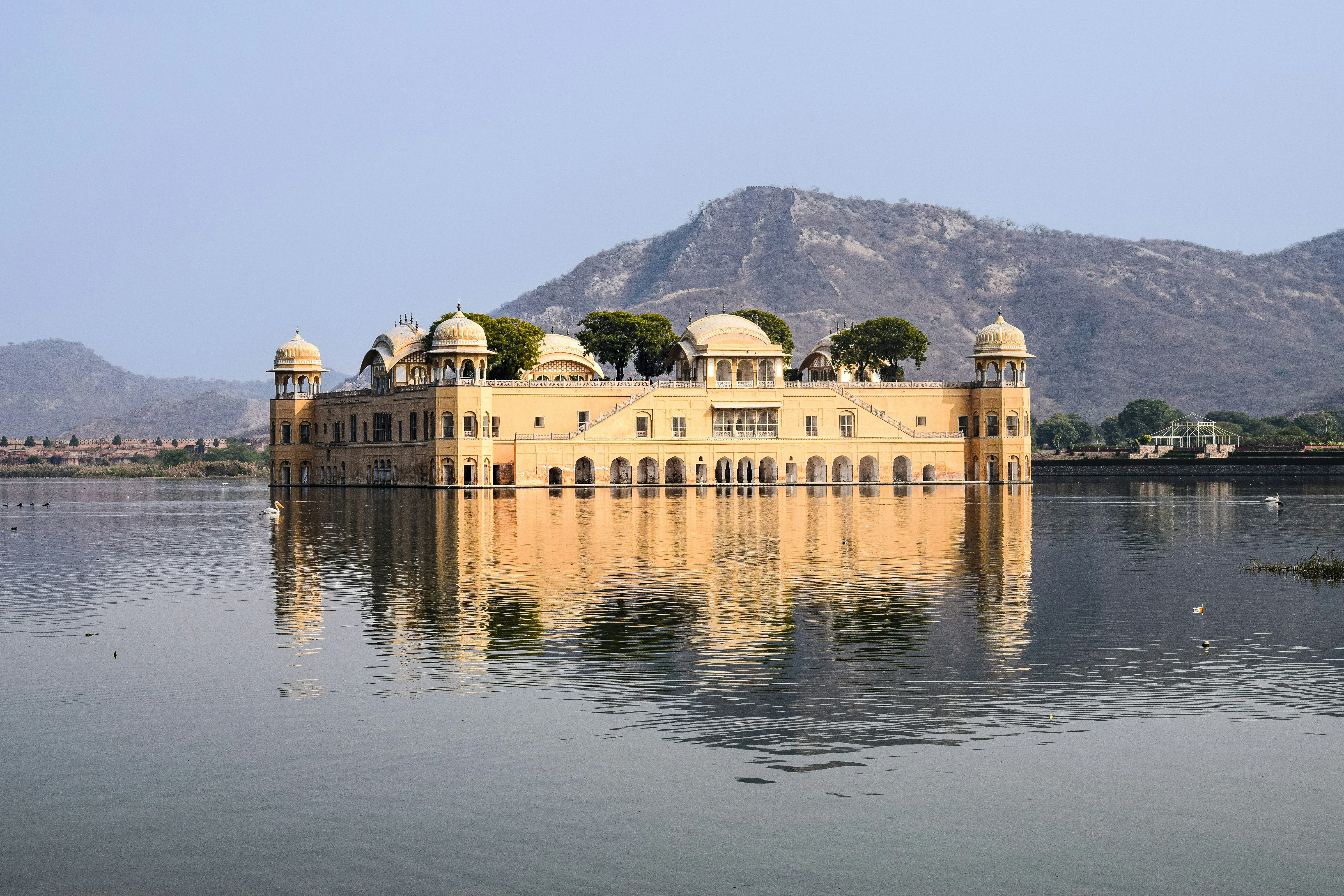 Solo Adventures Await: Discover the Pet-Friendly Side of Jaipur