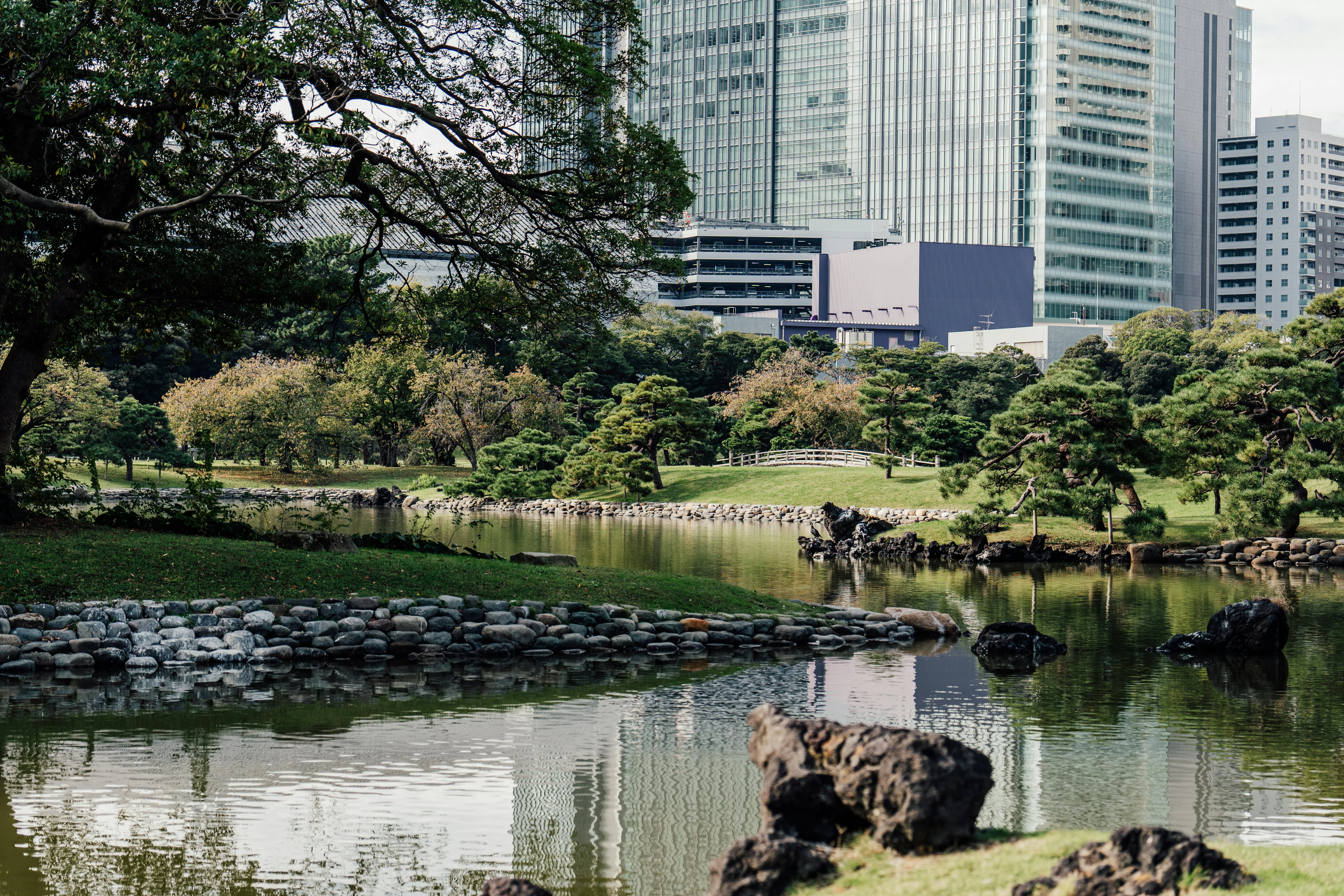 Tokyo's Hidden Gardens: Accessible Natural Retreats Within the Urban Jungle