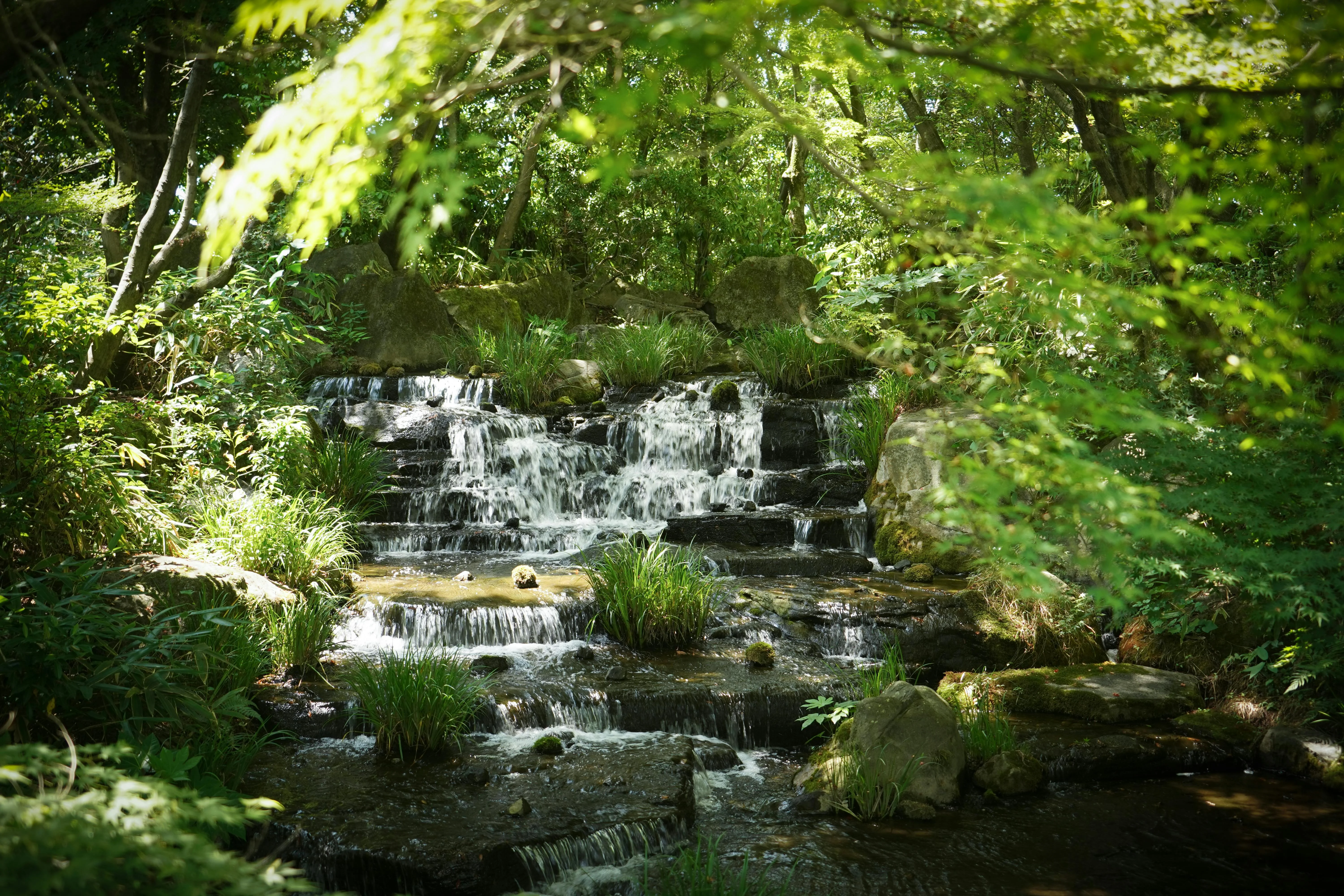 Beyond the Castle Walls: Himeji's Flourishing Nature Trails