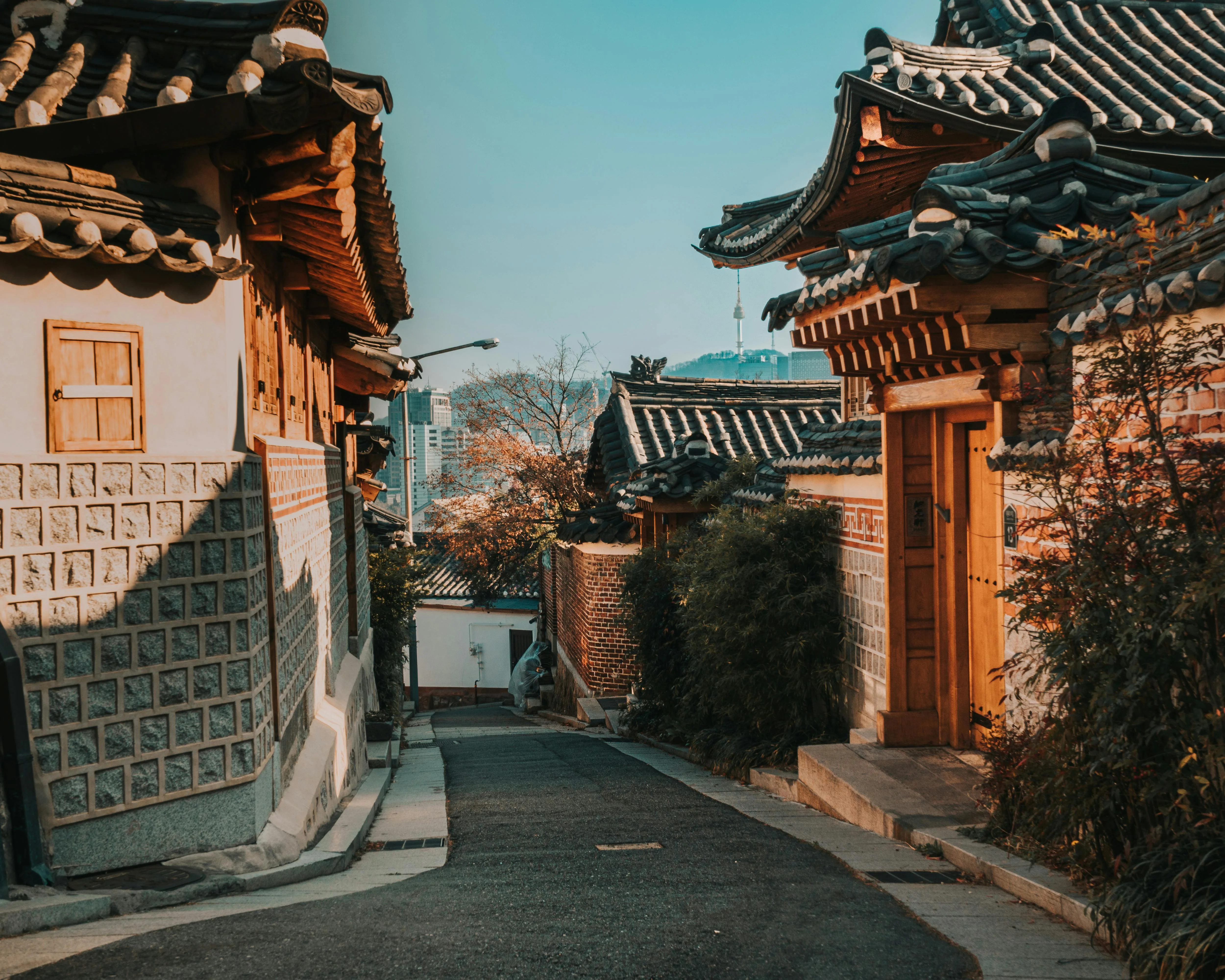 Captivating Seoul through an Eco-Friendly Lens: Sustainable Photography Journeys Image 2