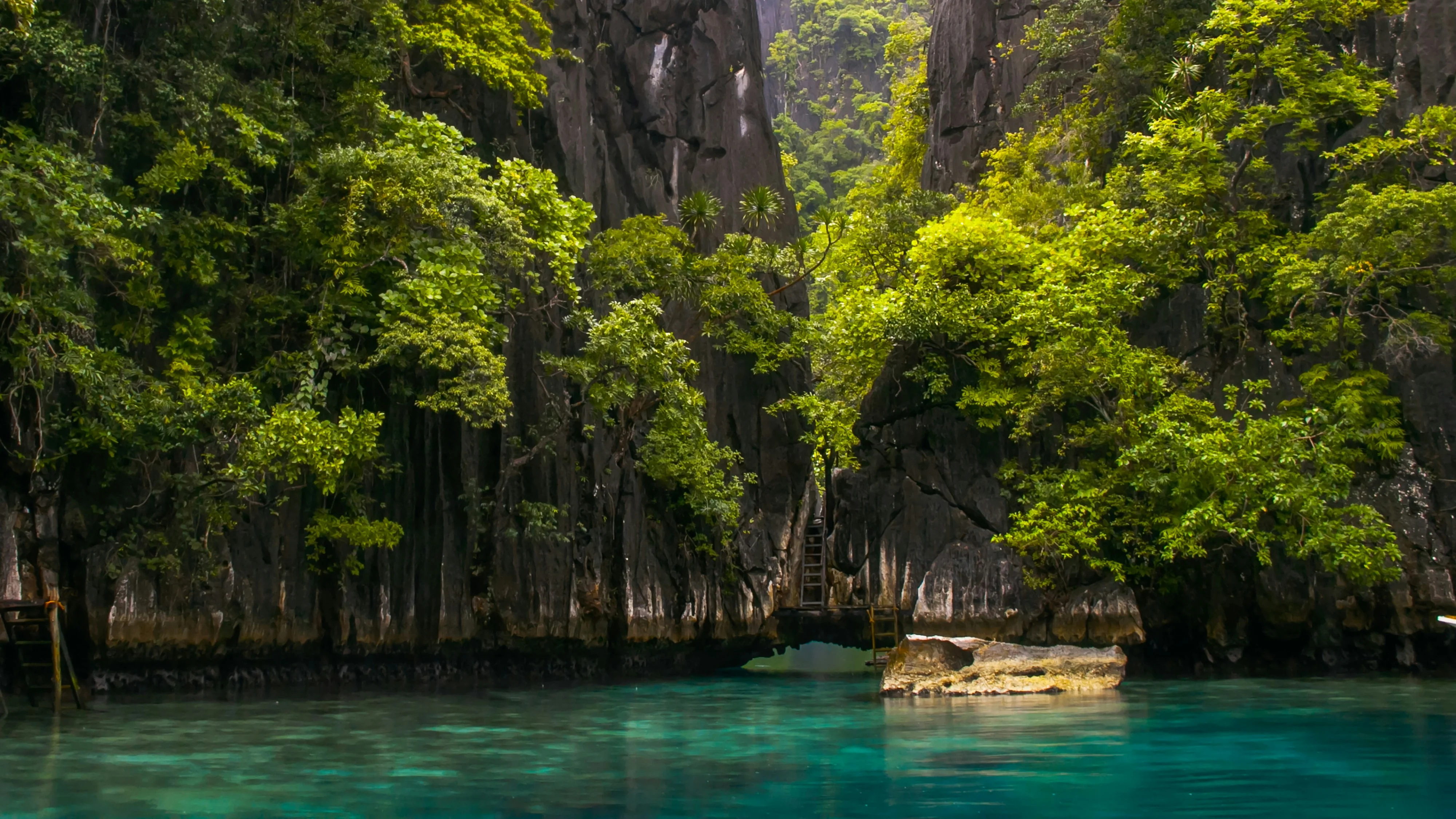 Hidden Waters: Phenomenal Snorkeling Spots in Palawan for Every Season Image 2