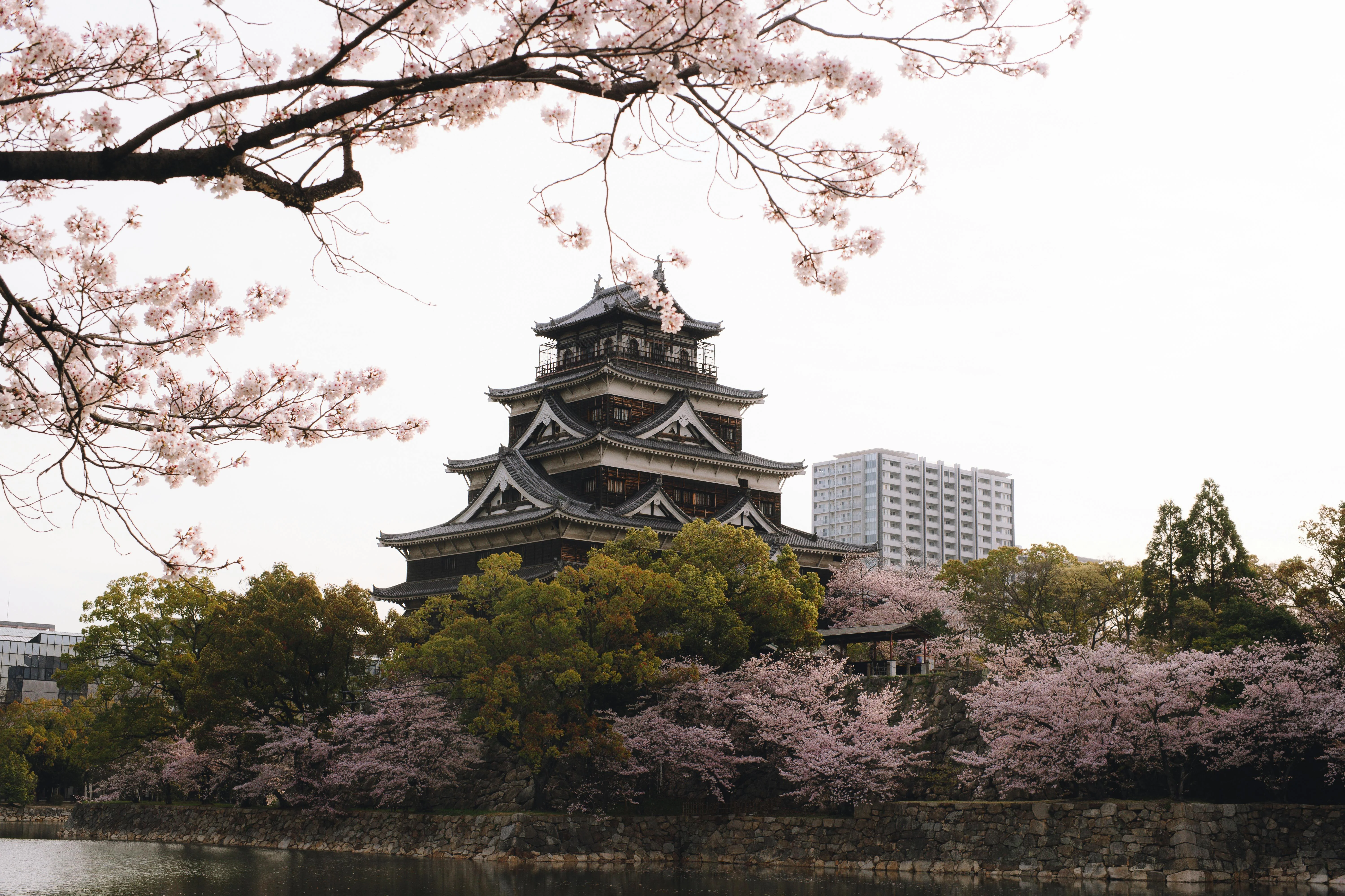 A Hiroshima of Contrast: Where Urban Jungles Meet Natural Harmony Image 2