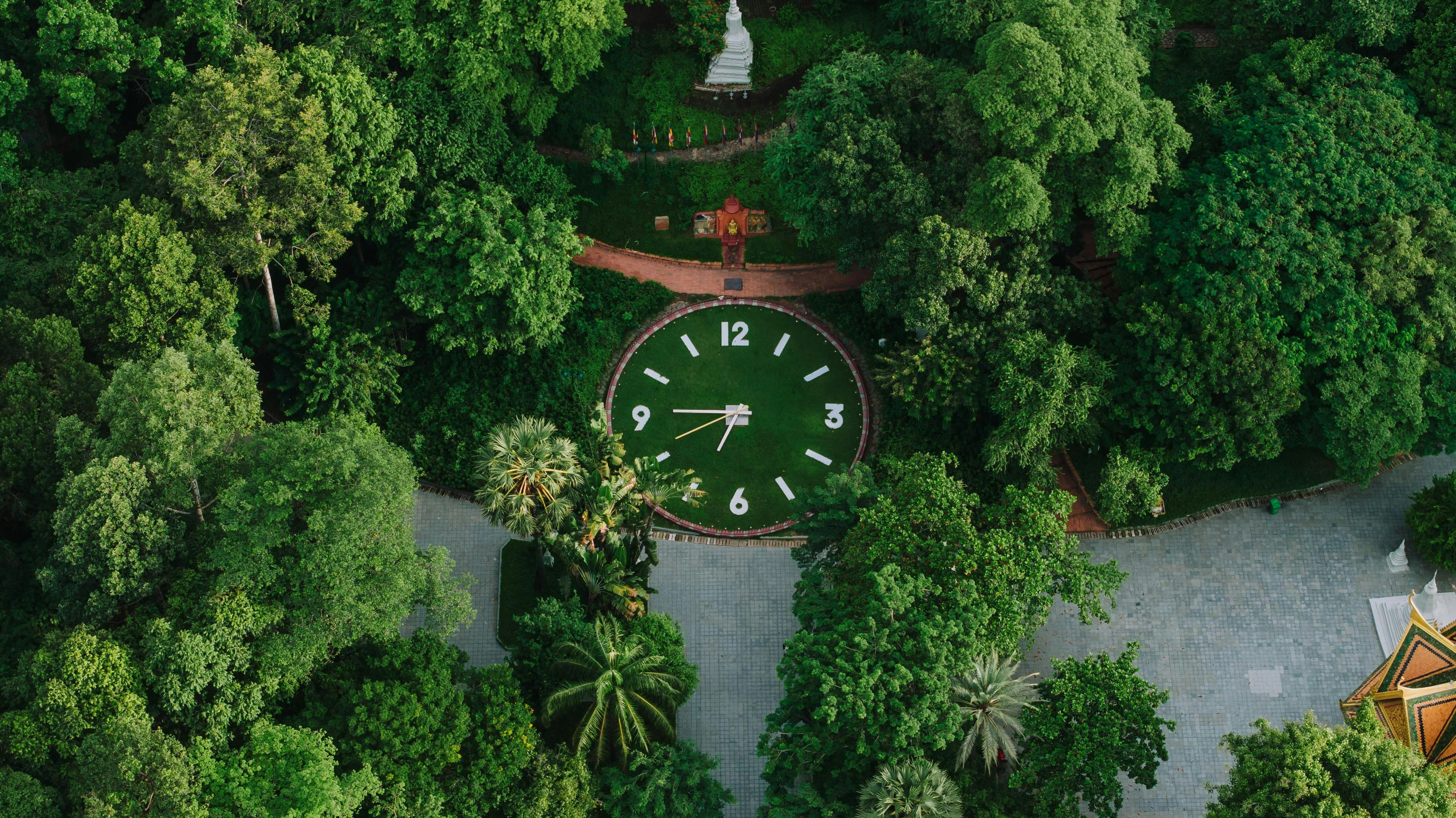 The Art of Downtime: Unique Coffee Shops in Phnom Penh for the Business Backpacker Image 3