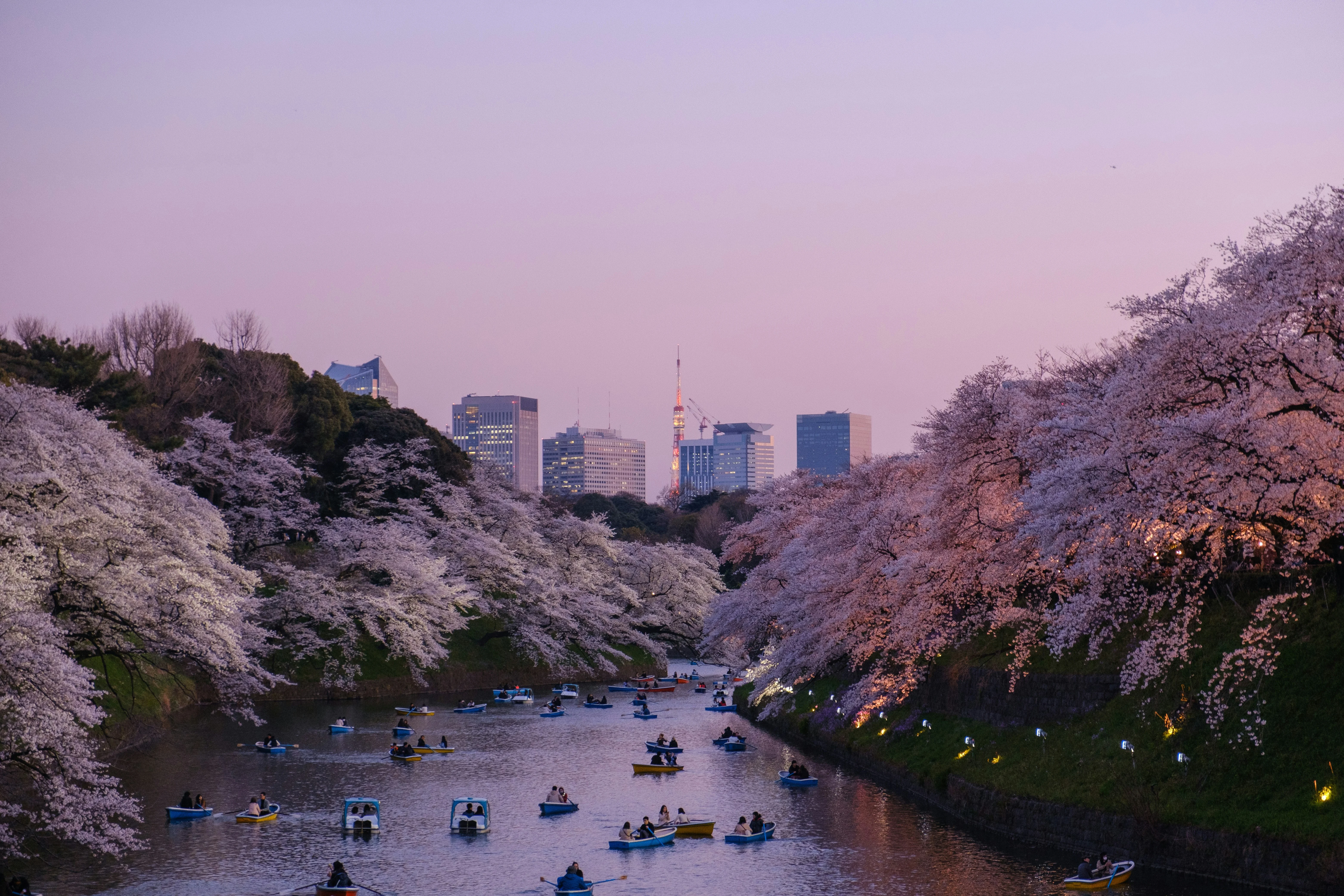 From a New Perspective: Accessible Viewpoints and Photography Spots in Tokyo