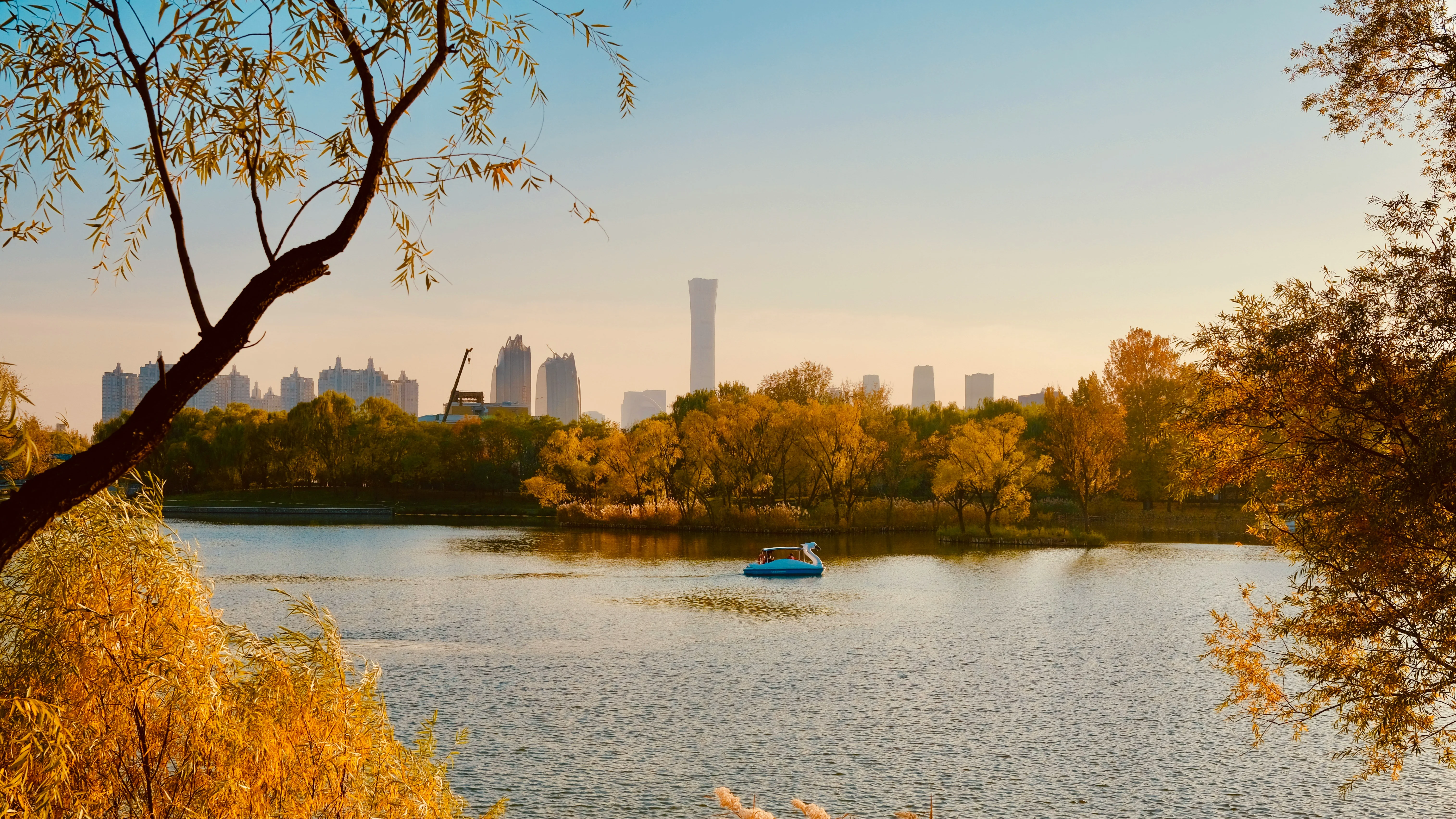 Love in the Air: Scenic Spots for Couples in Beijing's Parks Image 2