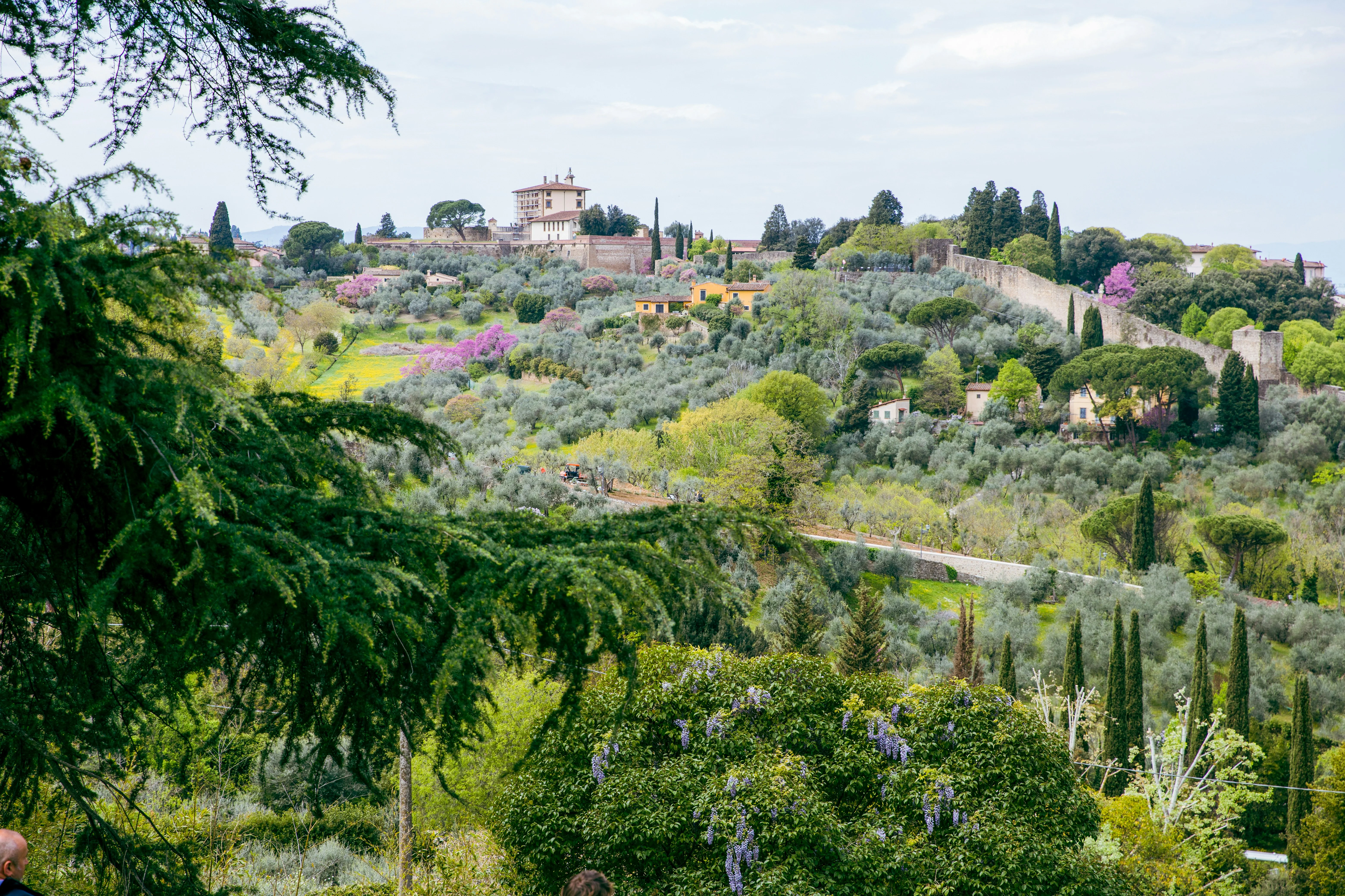 Florence's Hidden Gardens: Discovering Urban Oases for Mindful Retreats