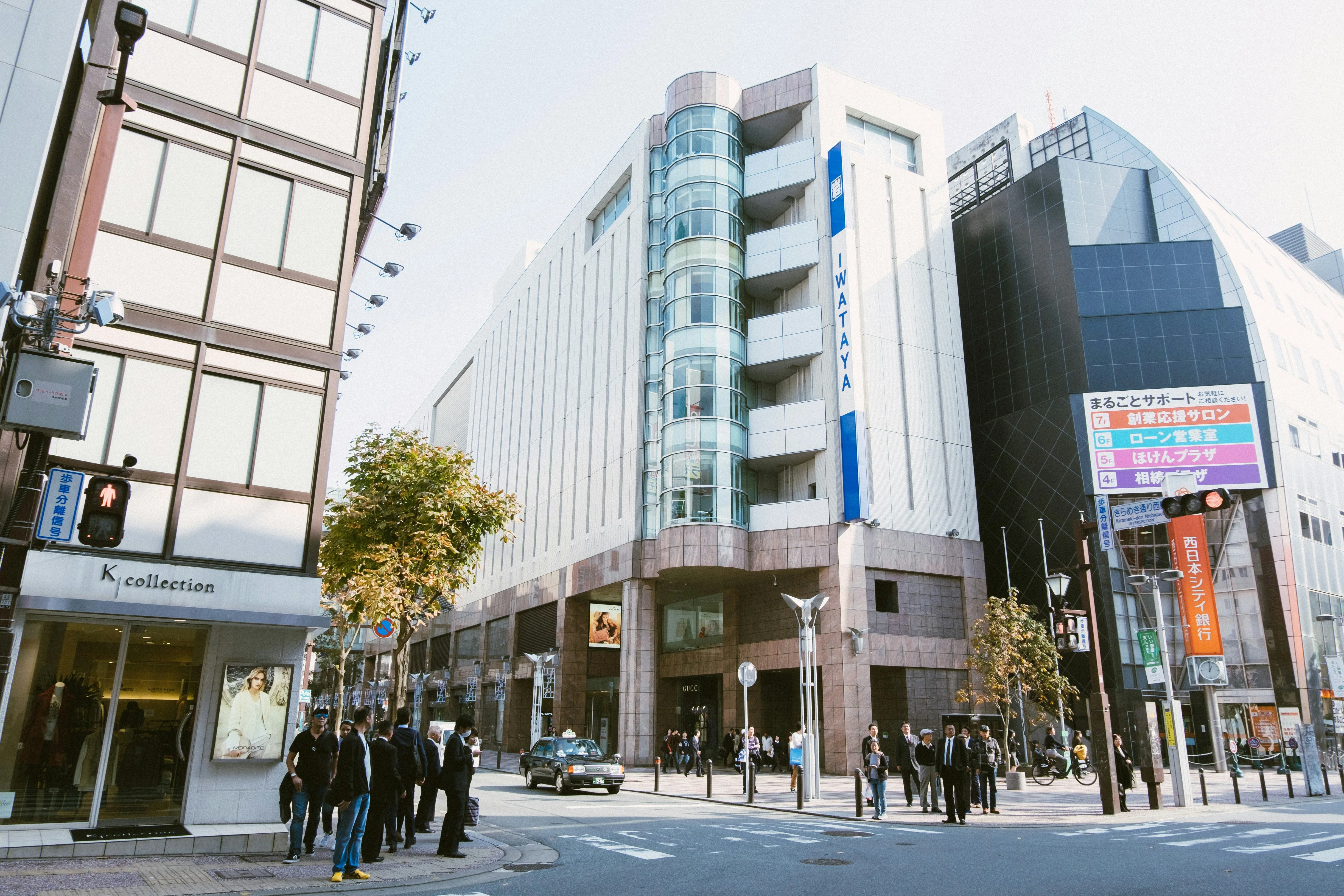 Songbirds and Cherry Blossoms: Perfect Spring Days in Fukuoka Image 2