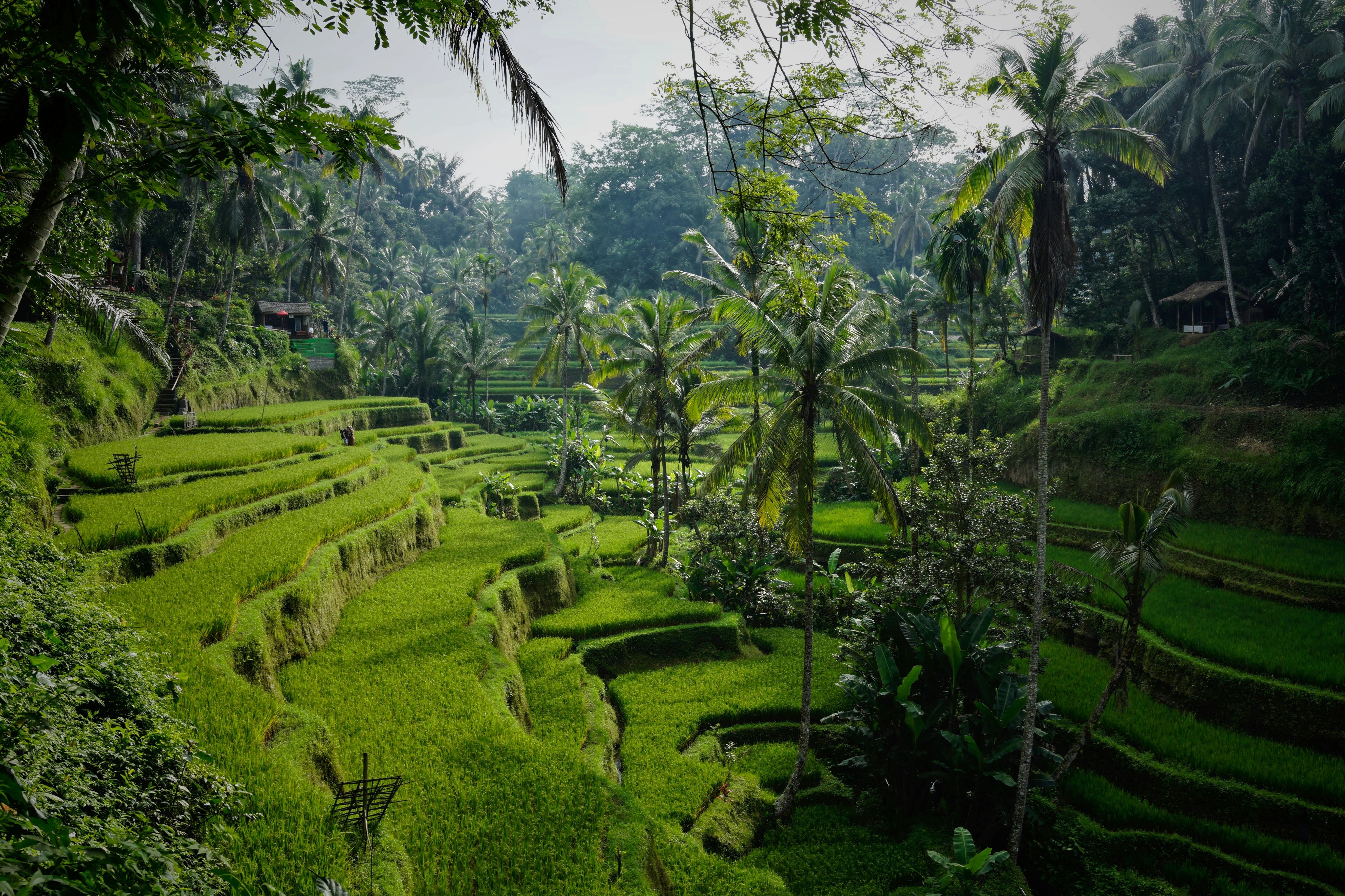 Cultural Reverence: Participating in Bali's Eco-Conscious Festivals Image 3