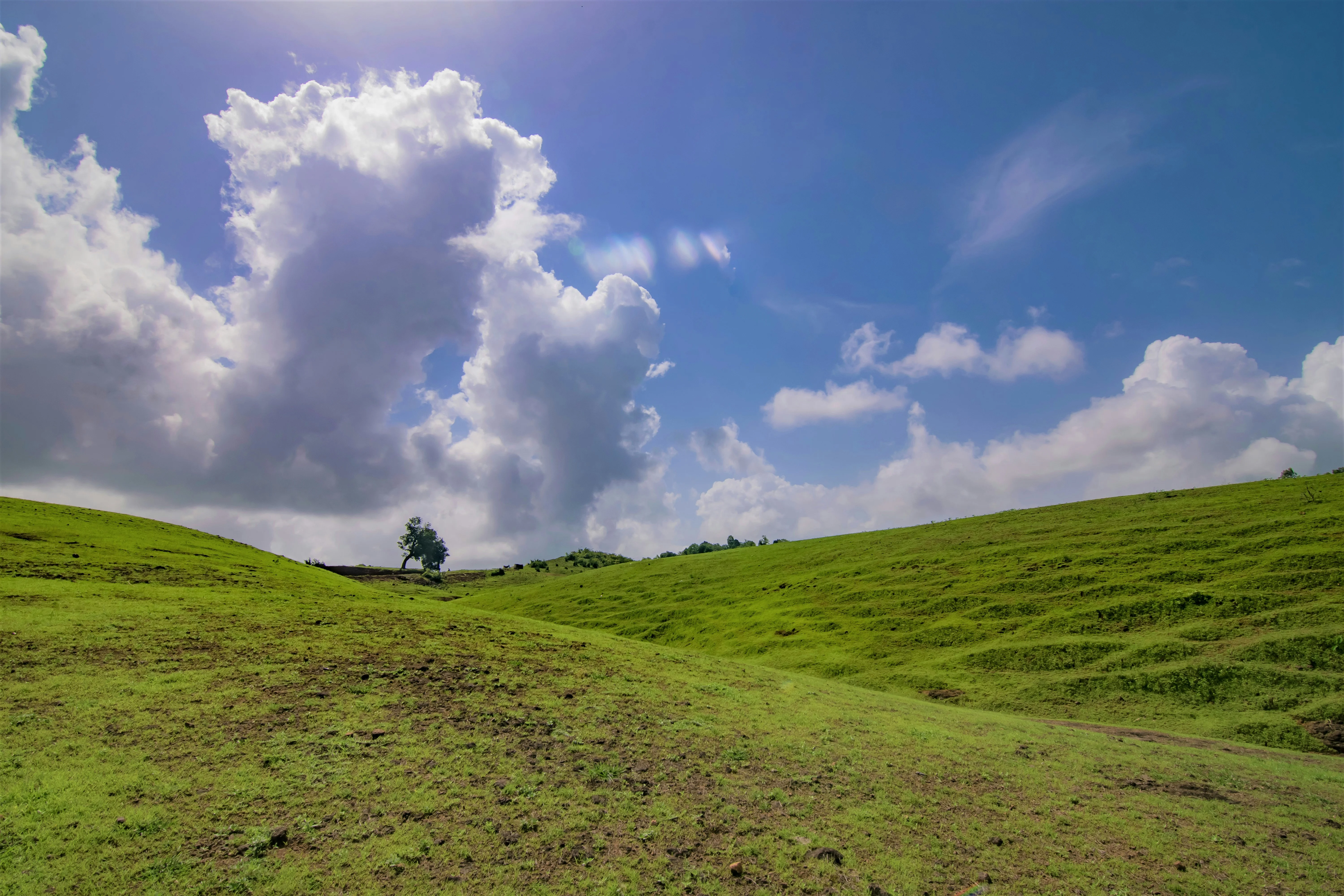 Uncharted Paths: Discovering Tribal Villages on a Mumbai Road Trip Image 3