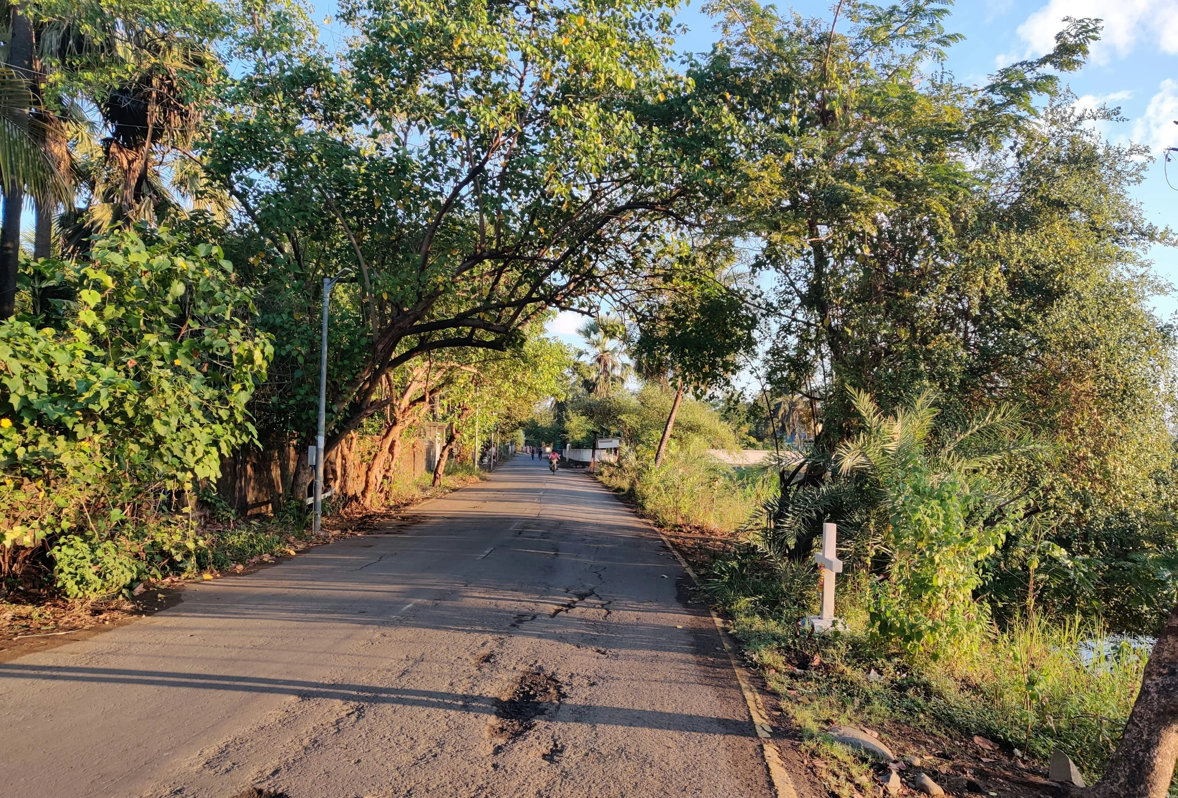 Uncharted Paths: Discovering Tribal Villages on a Mumbai Road Trip