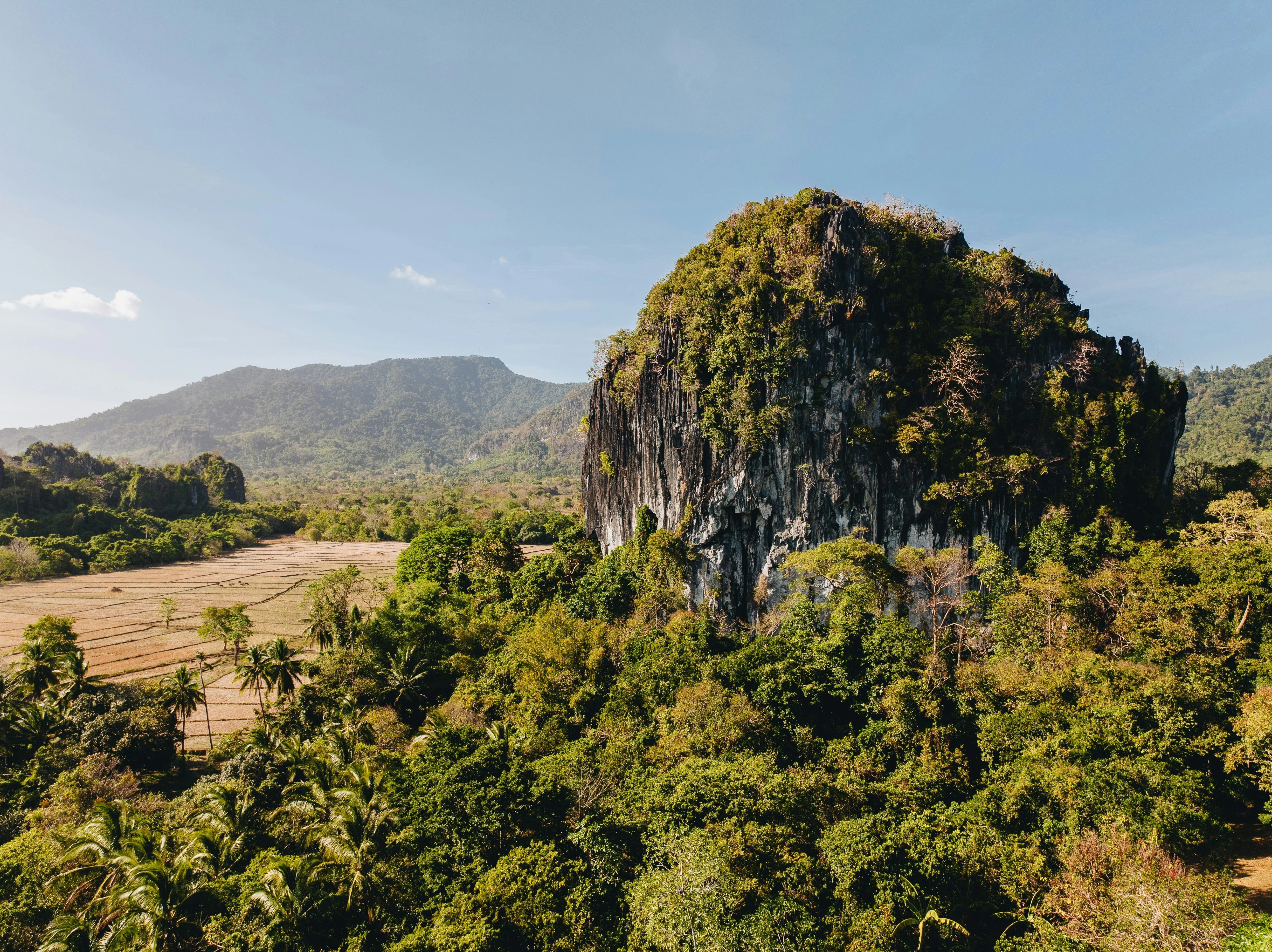 Beyond the Beaches: Discover Palawan's Forest Treks and Biodiverse Landscapes Image 2