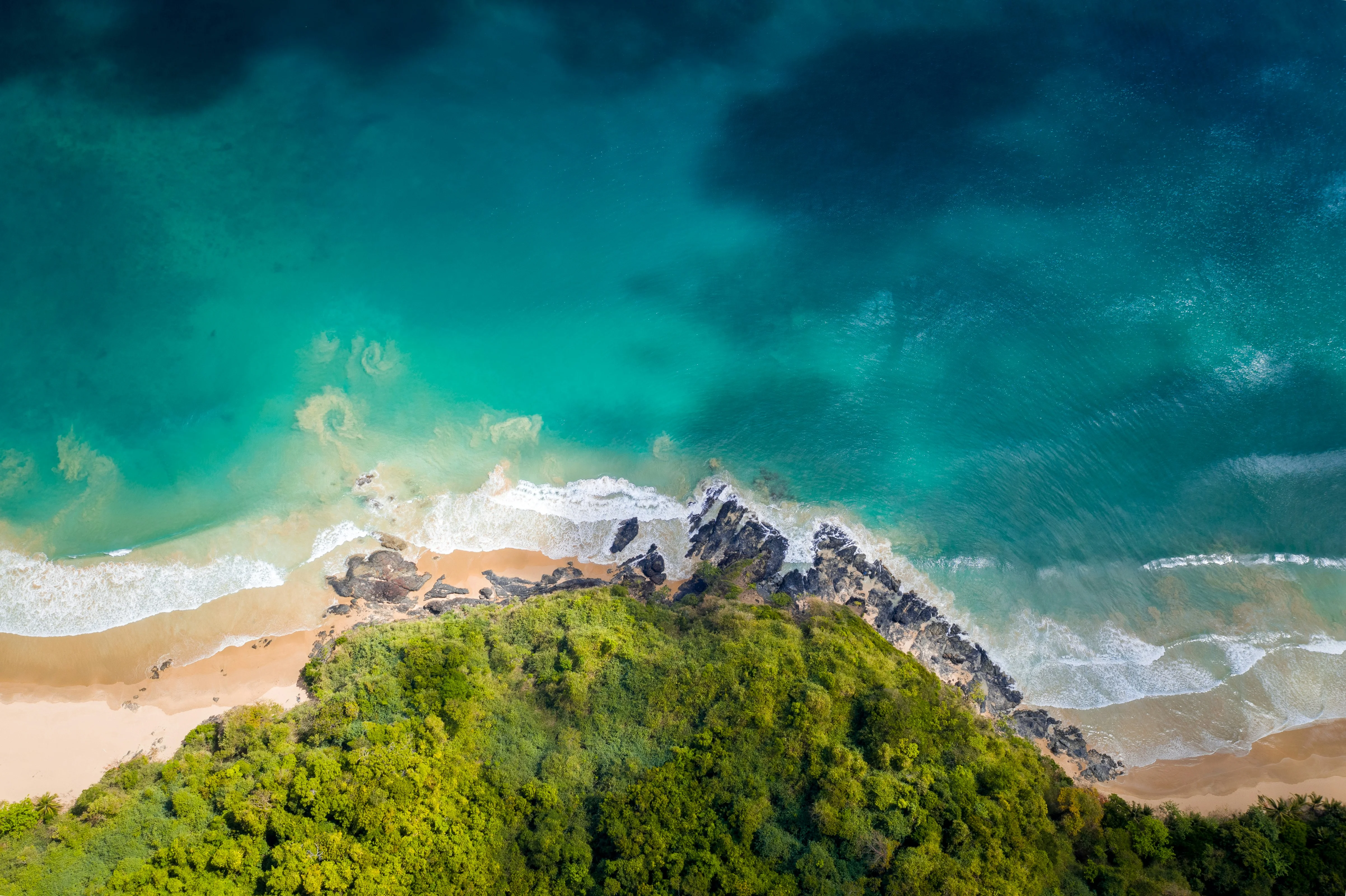 Beyond the Beaches: Discover Palawan's Forest Treks and Biodiverse Landscapes