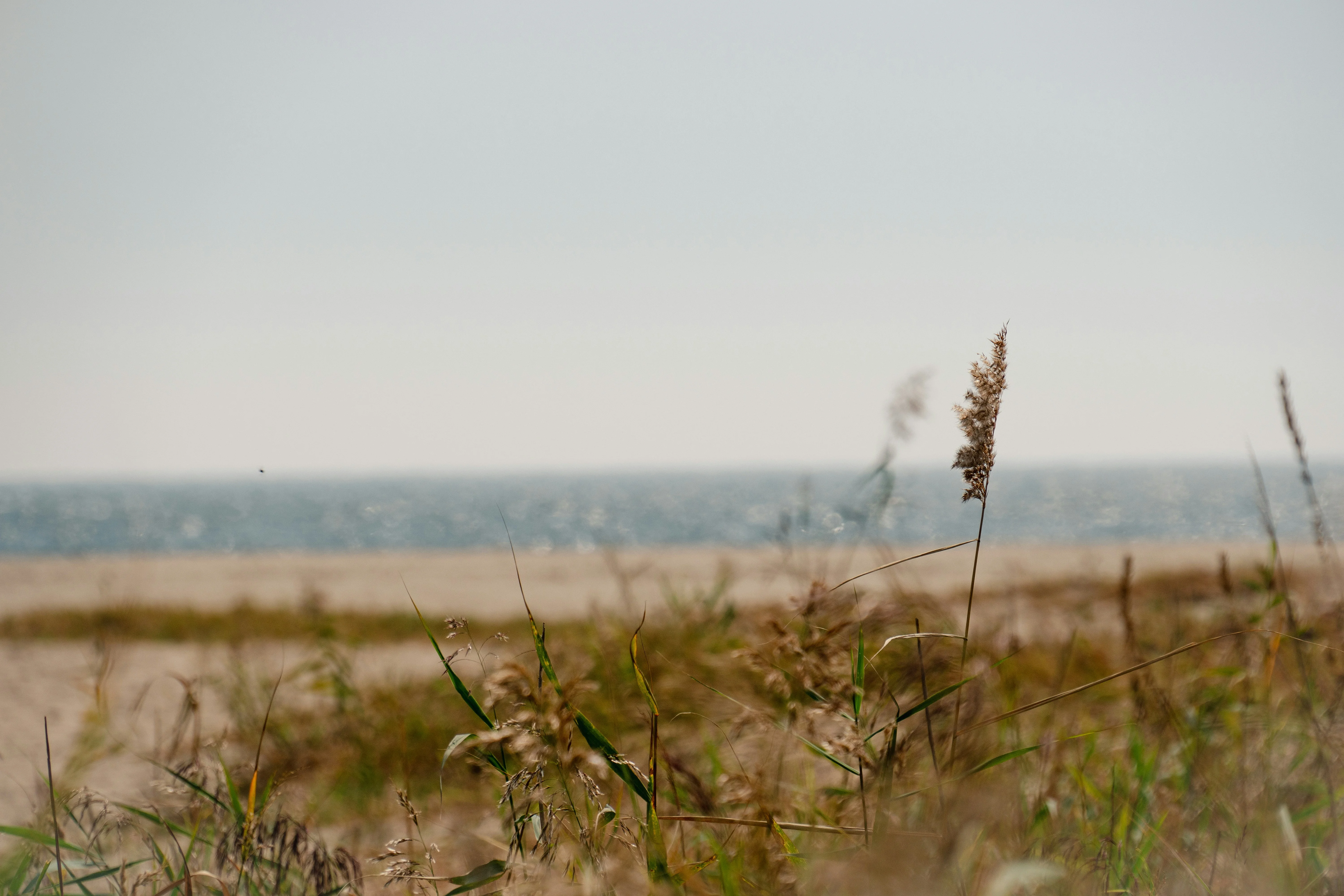 Coastal Calm: Wheelchair-Friendly Beaches Off Busan's Beaten Path Image 2