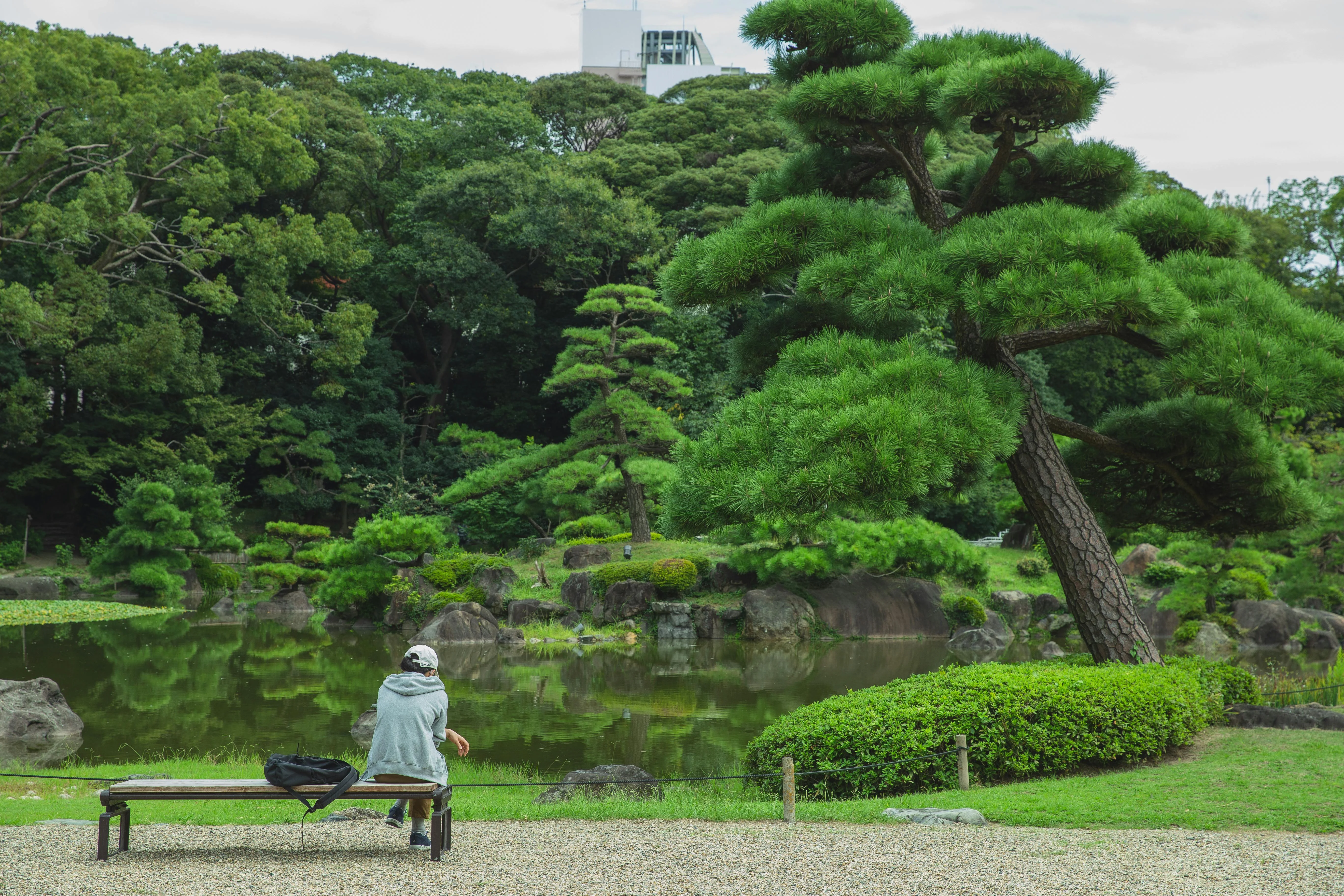 Adventure Awaits: Cycling through the Serene Osaka Countryside Image 1