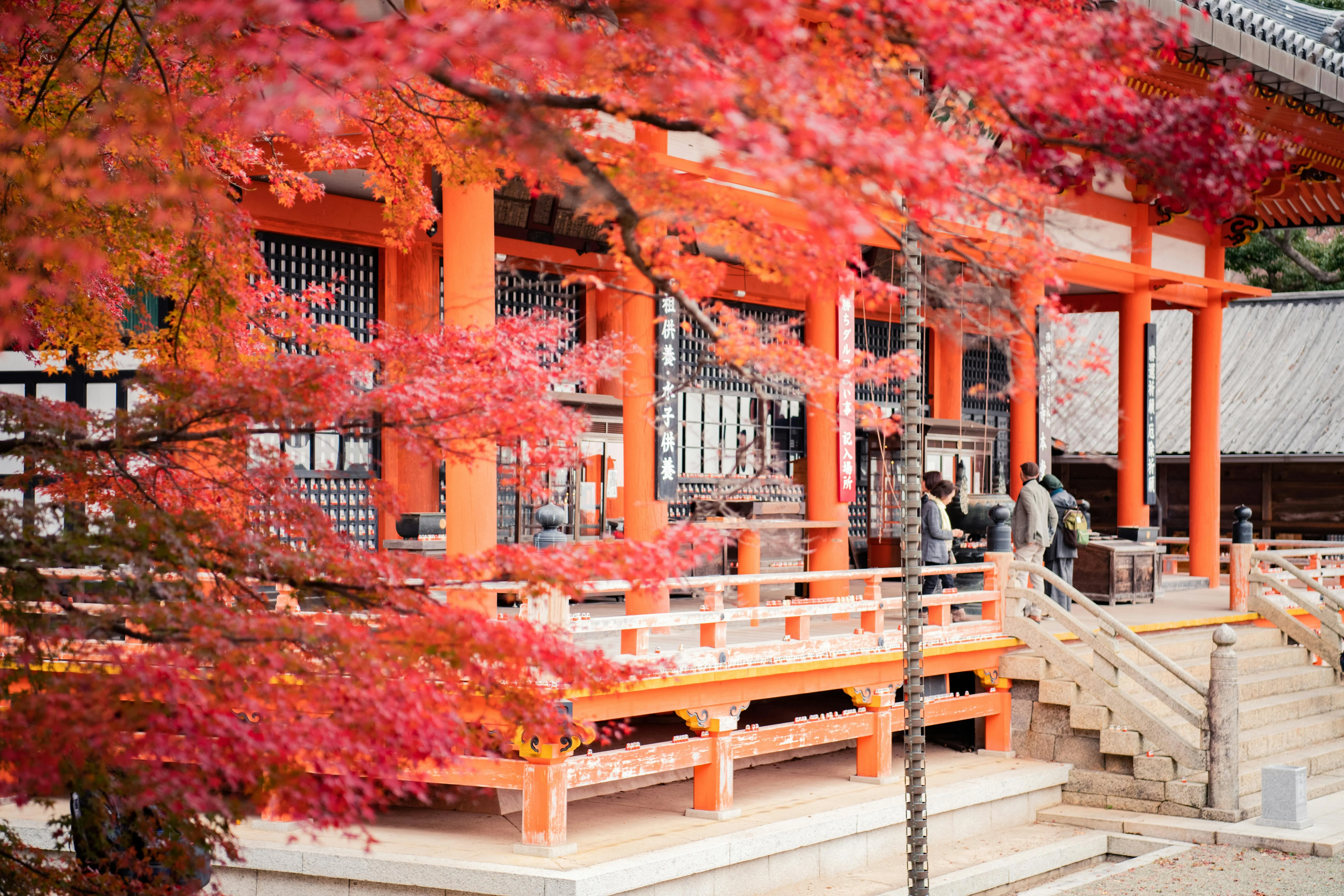 Adventure Awaits: Cycling through the Serene Osaka Countryside Image 3