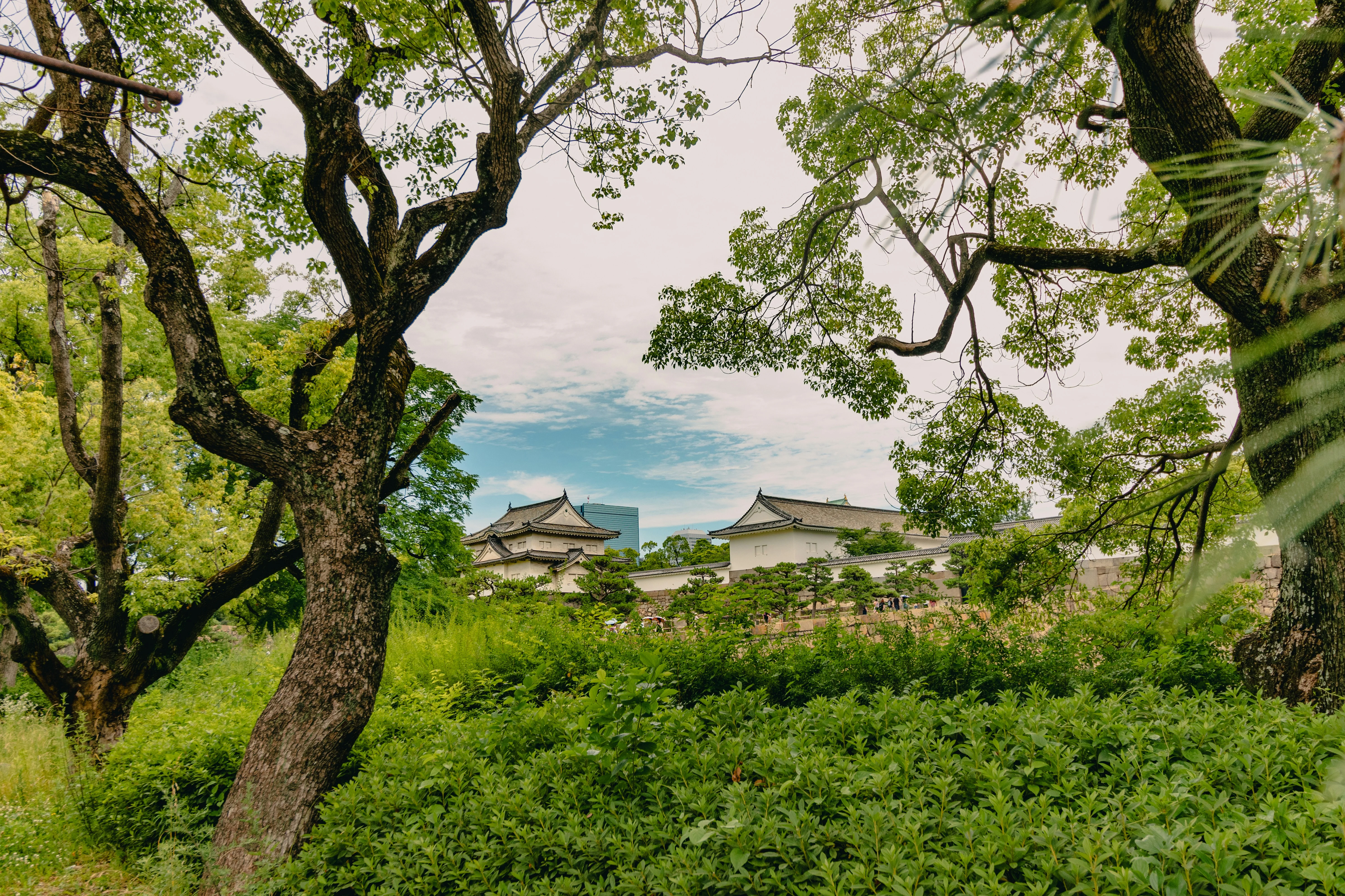 Adventure Awaits: Cycling through the Serene Osaka Countryside