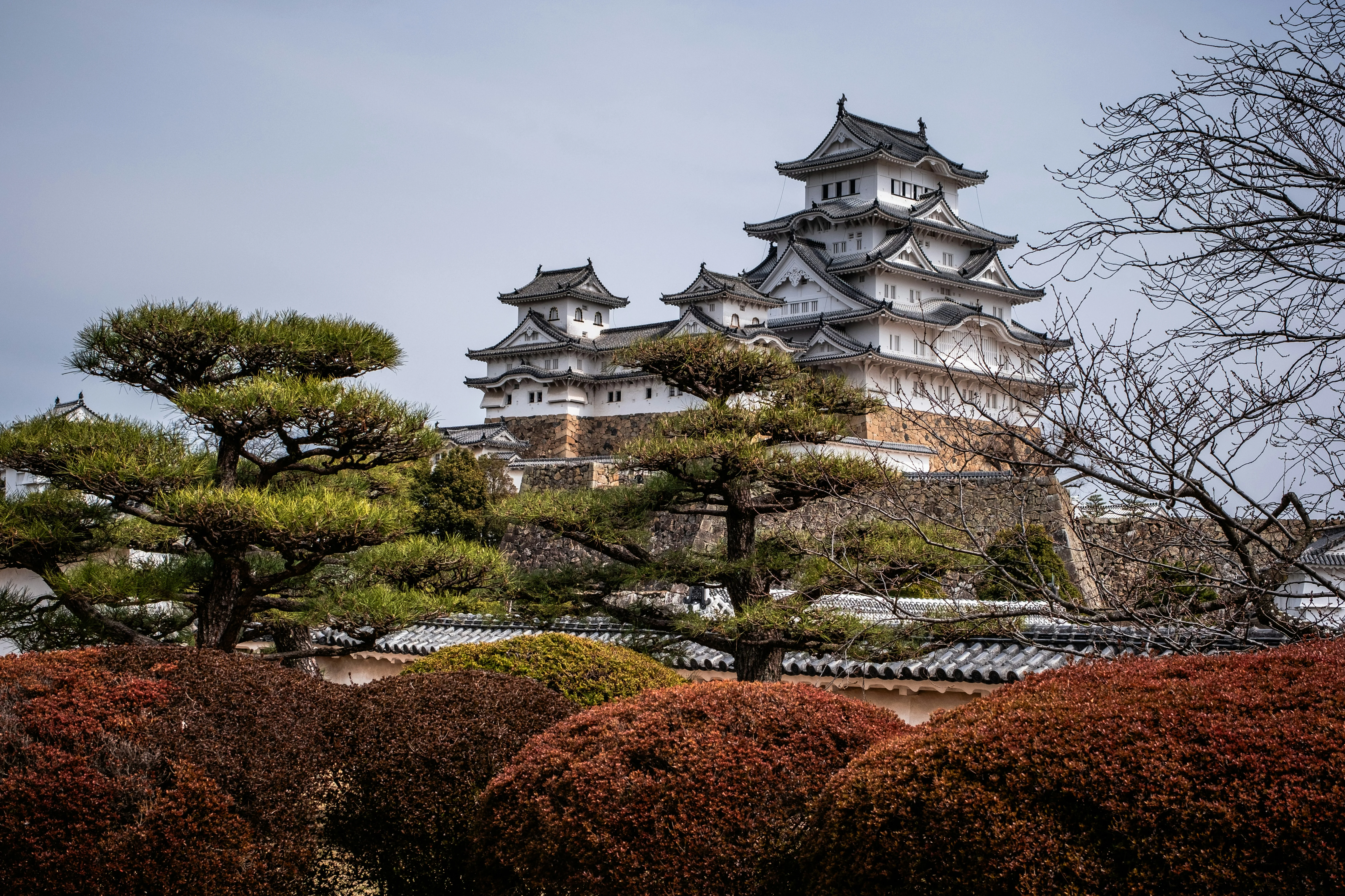 Himeji for Nature Lovers: Must-Visit Botanical Gardens and Parks Image 1