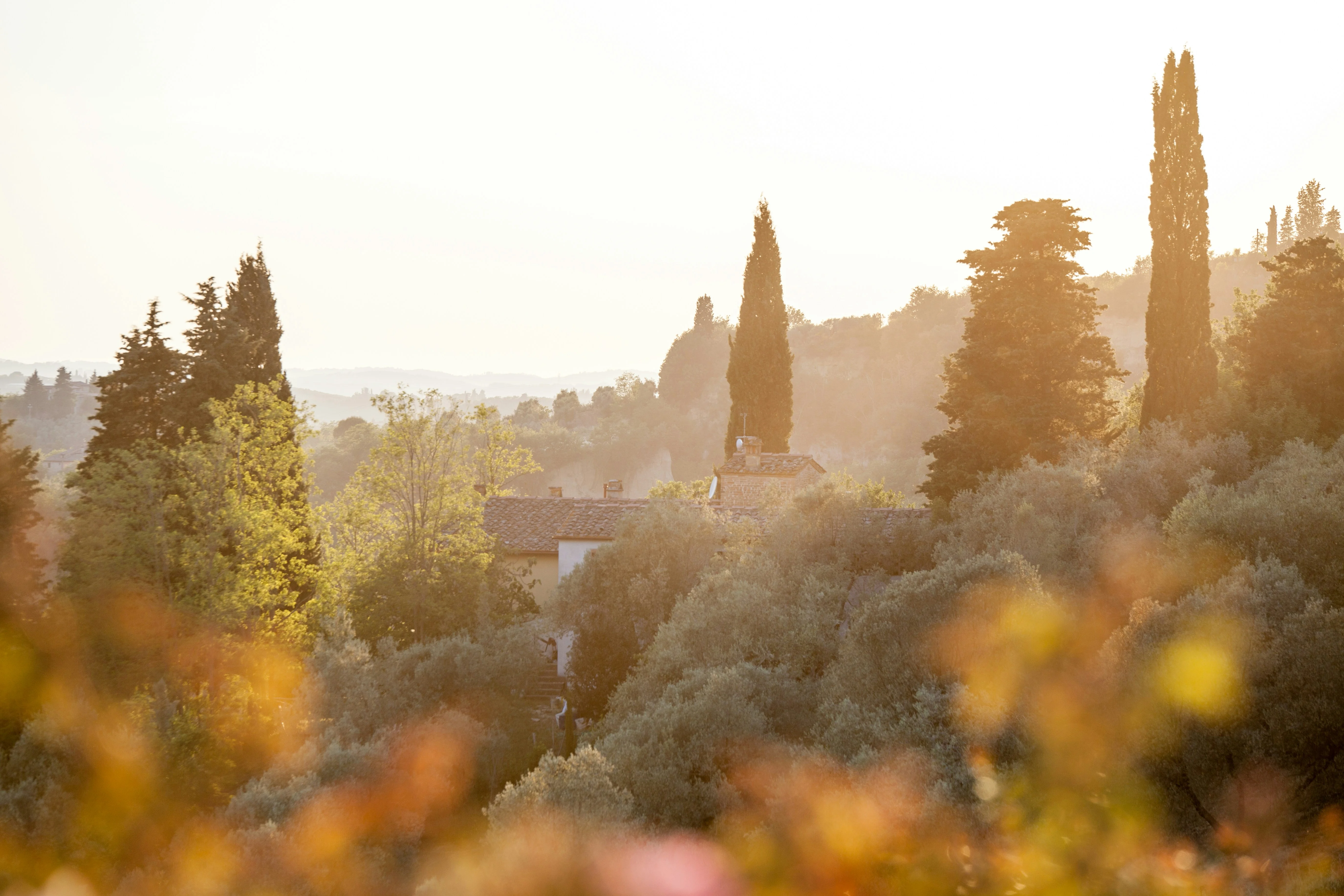 Wine and Wellness: A Perfect Pair in the Heart of Tuscany Image 1