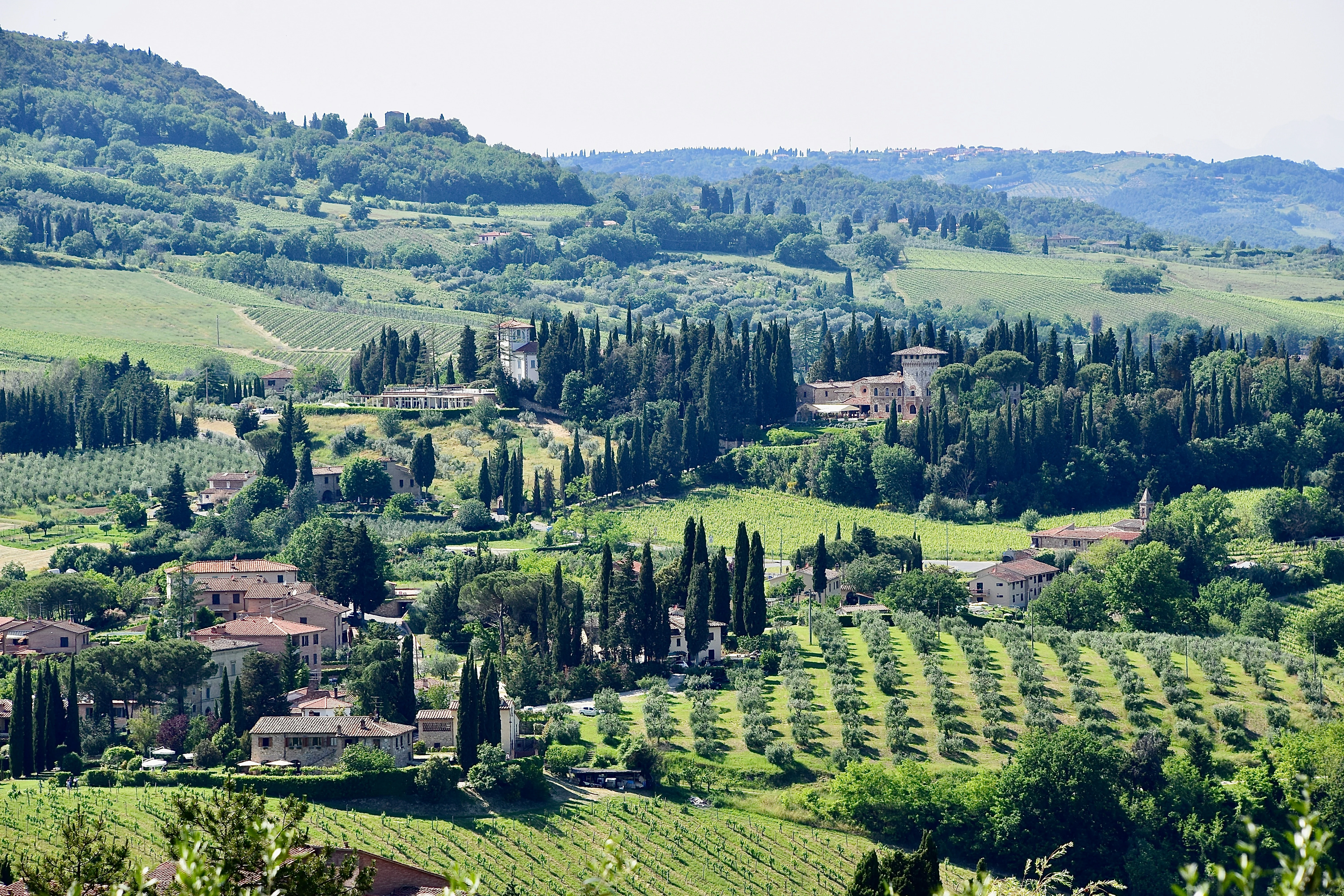 Wine and Wellness: A Perfect Pair in the Heart of Tuscany Image 2