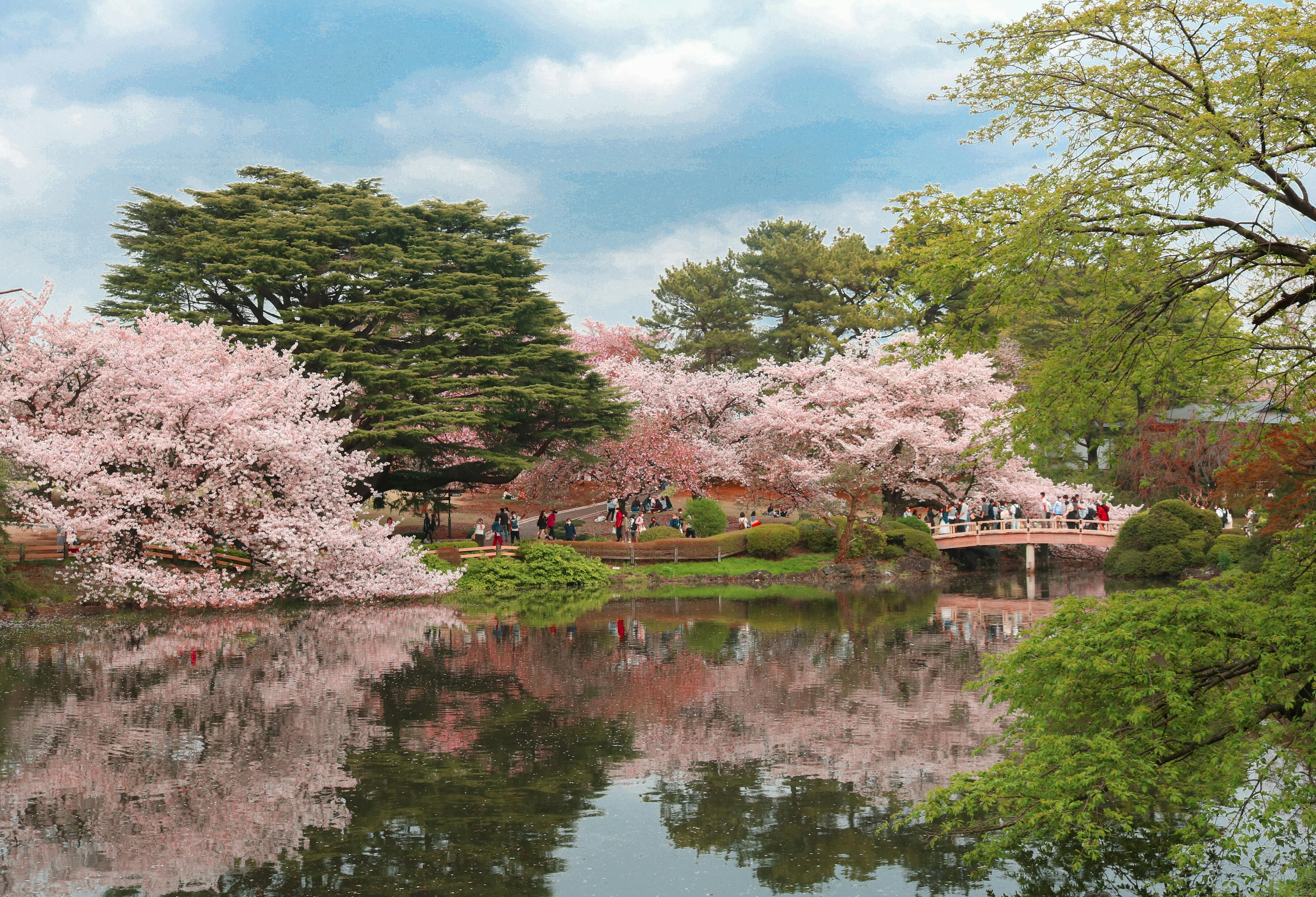 How Seasonal Traditions Influence Language Learning in Japan Image 1