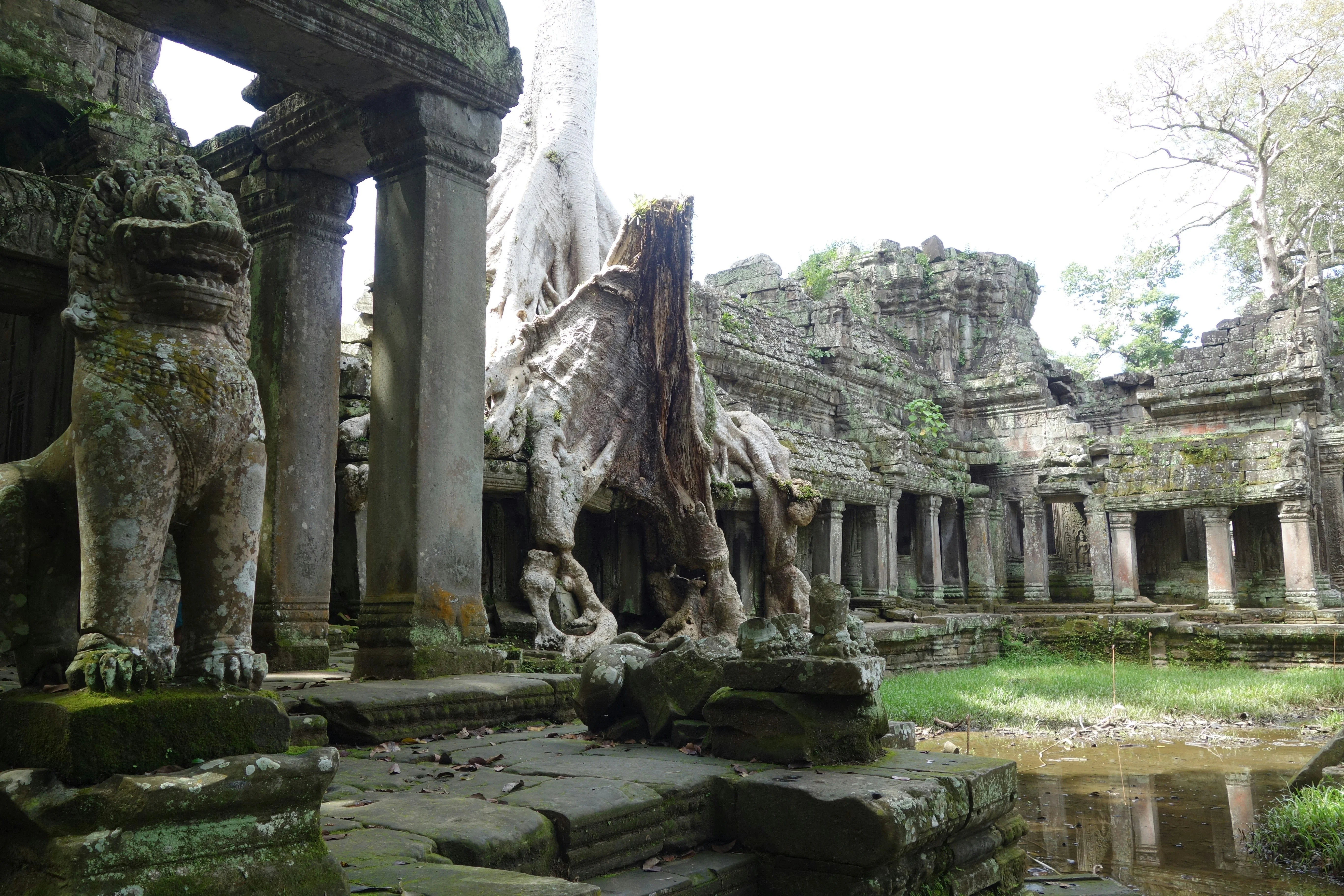 Journey Through Time: Unearthing the Forgotten Wonders of Angkor Image 3