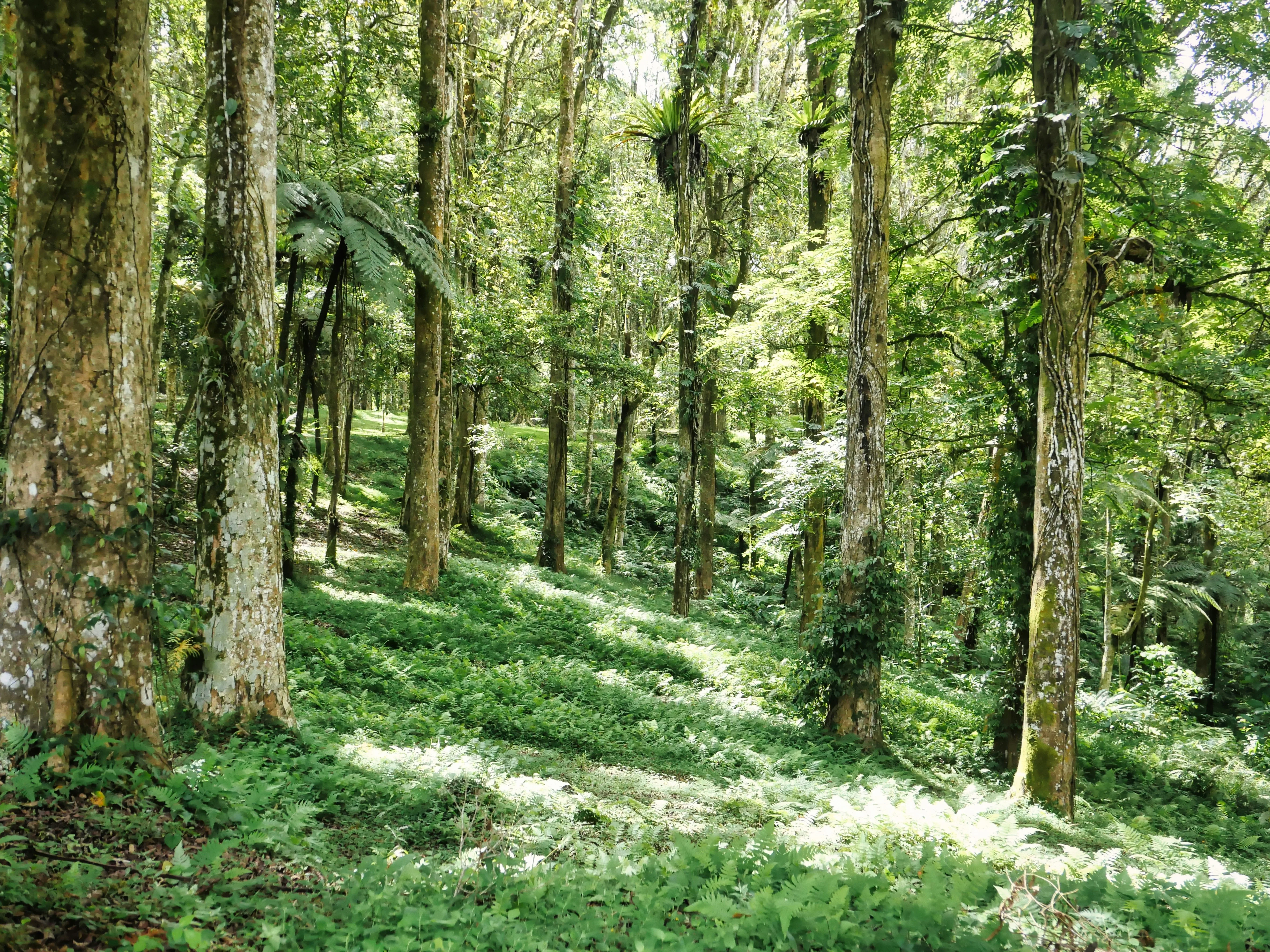 Meeting Bali's Eco Warriors: Inspiring Stories from Local Conservationists Image 2