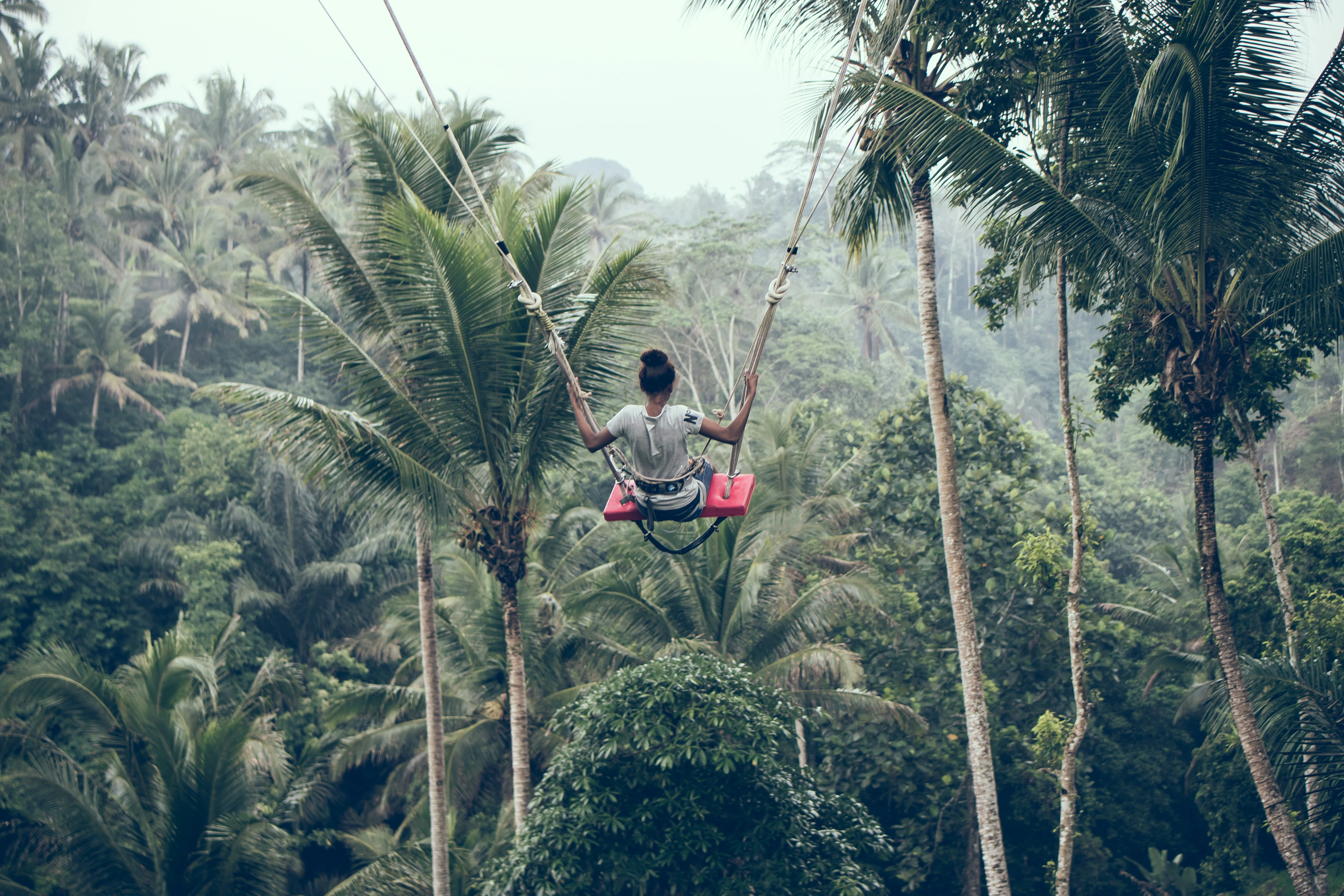 Meeting Bali's Eco Warriors: Inspiring Stories from Local Conservationist Image 3