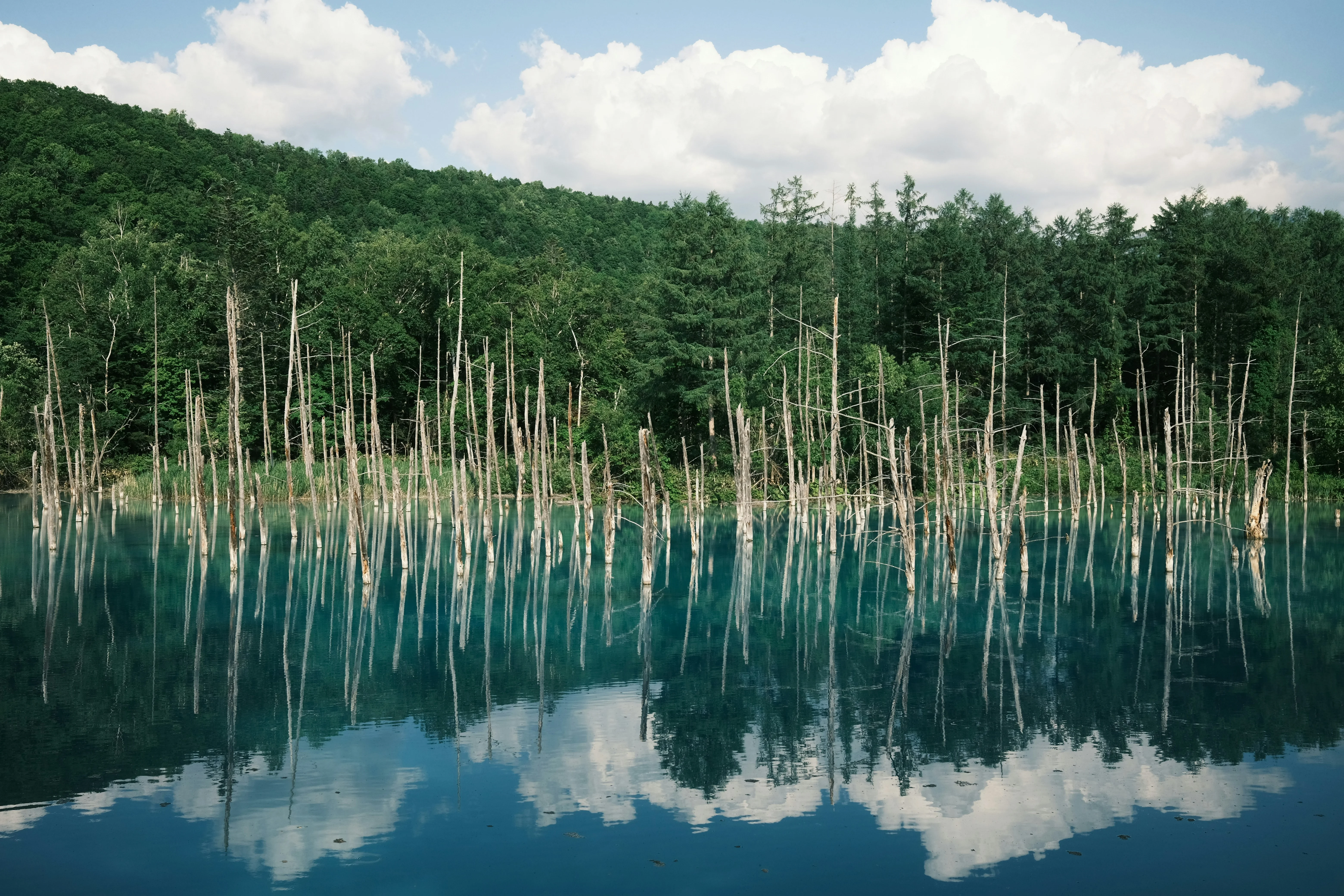 Hokkaido's Lakes and Landscapes: Nature Walks for the Roving Backpacker Image 1