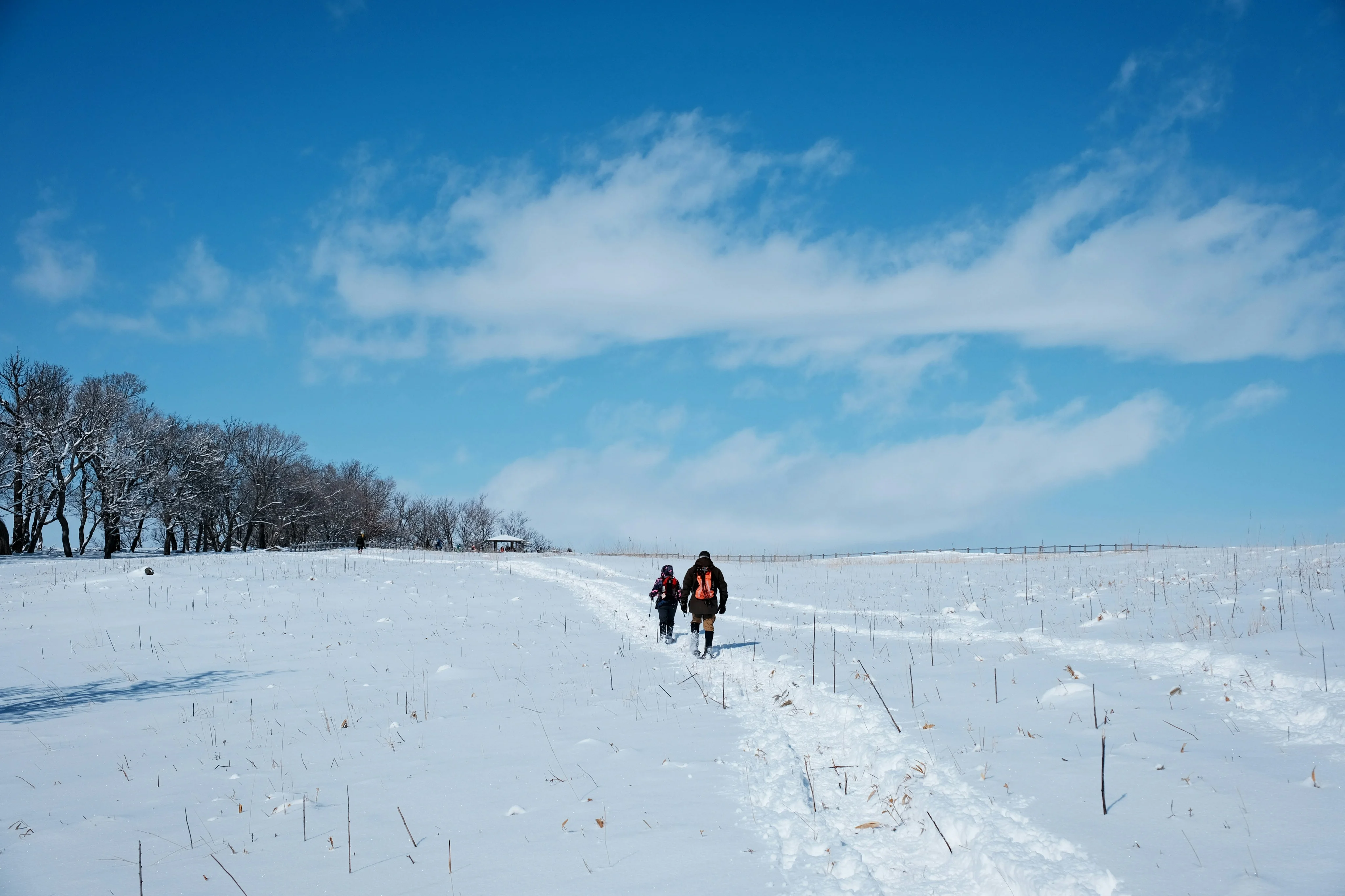 Hokkaido's Lakes and Landscapes: Nature Walks for the Roving Backpacker Image 3