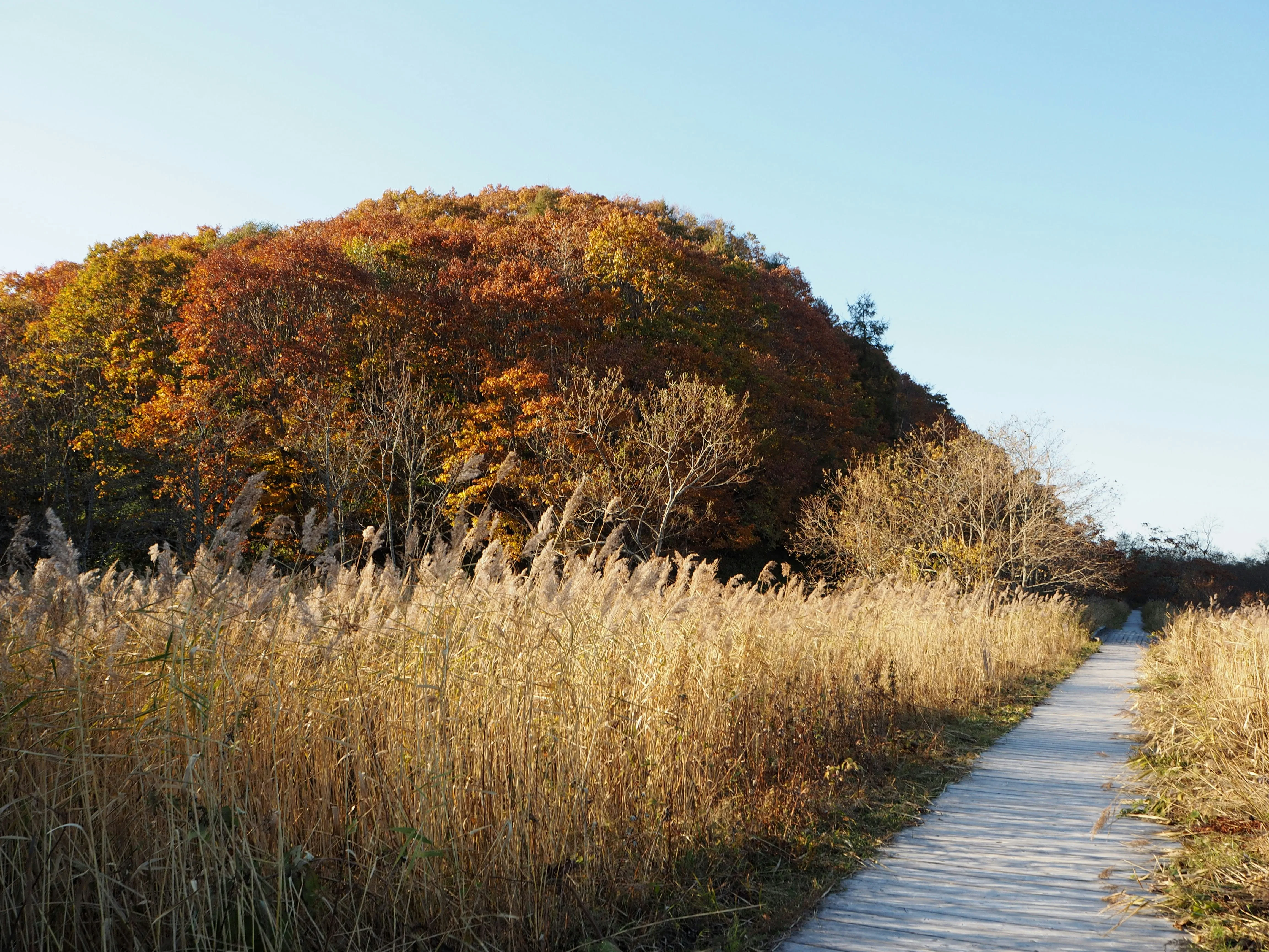 Hokkaido's Lakes and Landscapes: Nature Walks for the Roving Backpacker