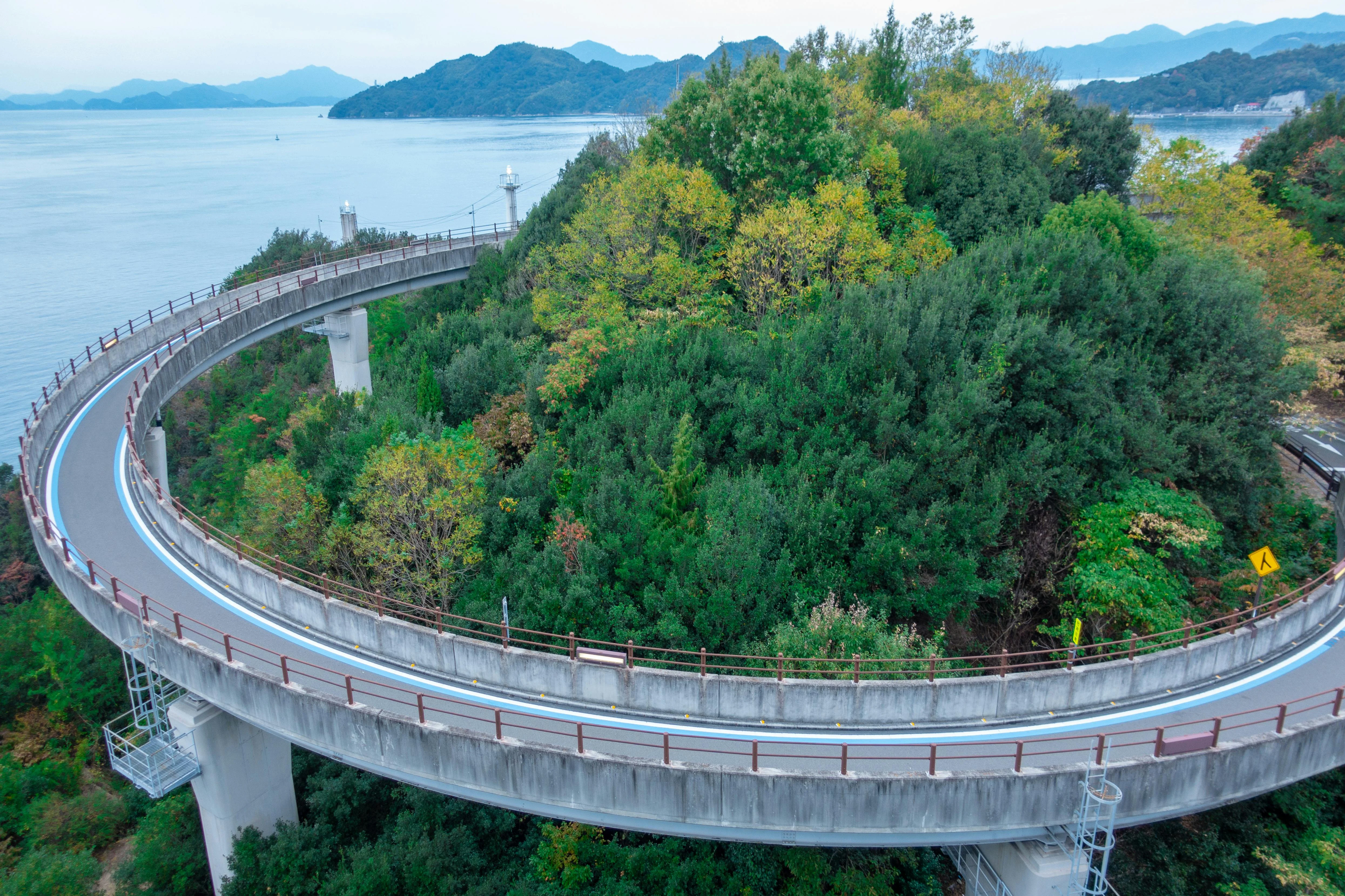 Wanderlust Warriors: How Digital Nomads Thrive in Hiroshima's Green Spaces image 1