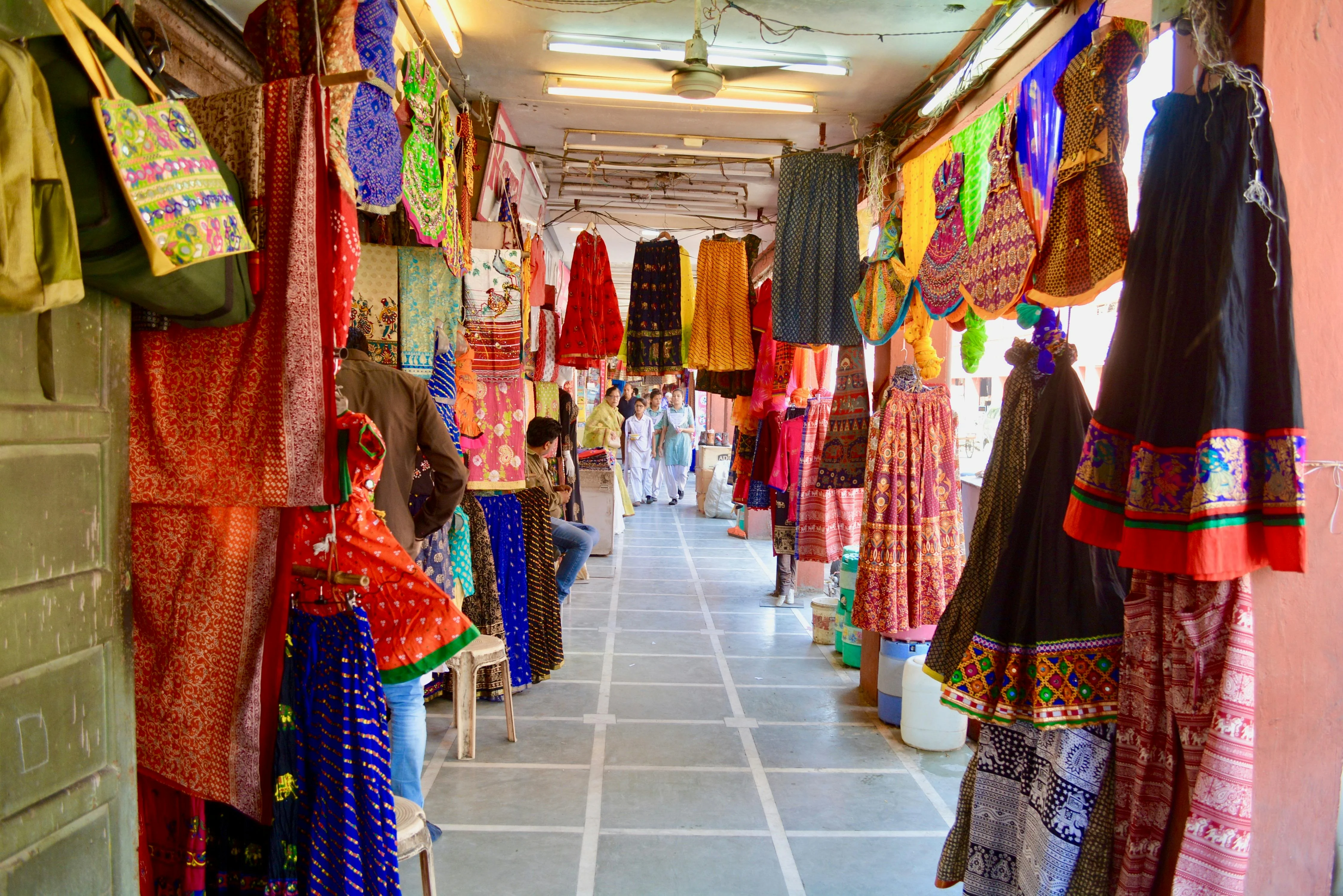 How to Navigate Jaipur's Bustling Markets with a Pet on Your Solo Journey Image 2