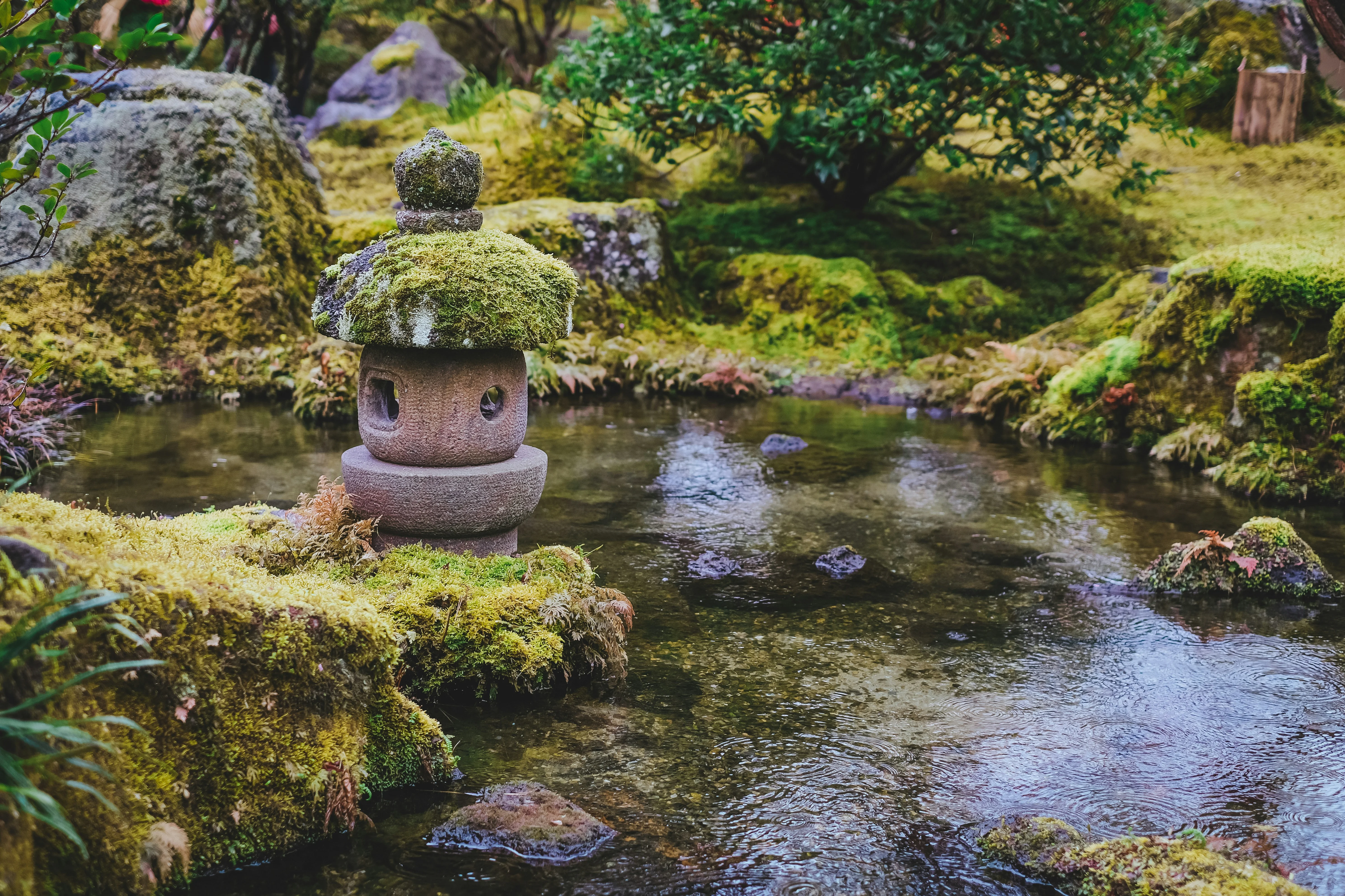 Savoring Silence: Free Zen Gardens in Tottori Prefecture Image 1