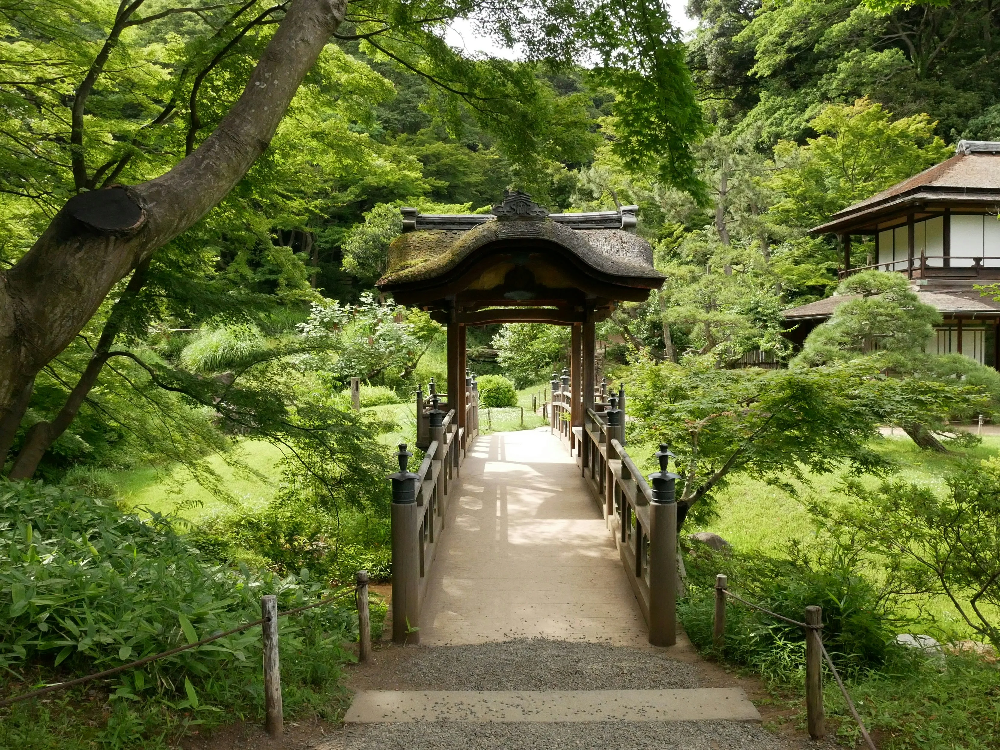 Historic Japan Beyond Barriers: Accessible Heritage Sites Near Tokyo image 2